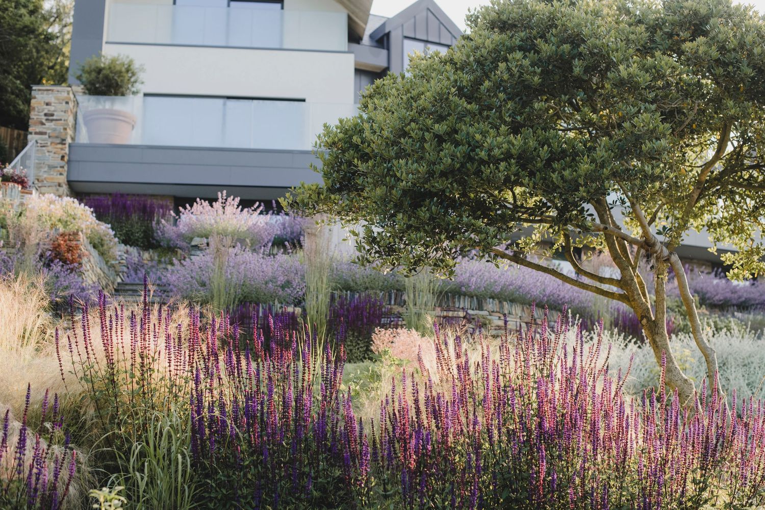 Garden Landscape Photography - Darren Hawkes Garden Design