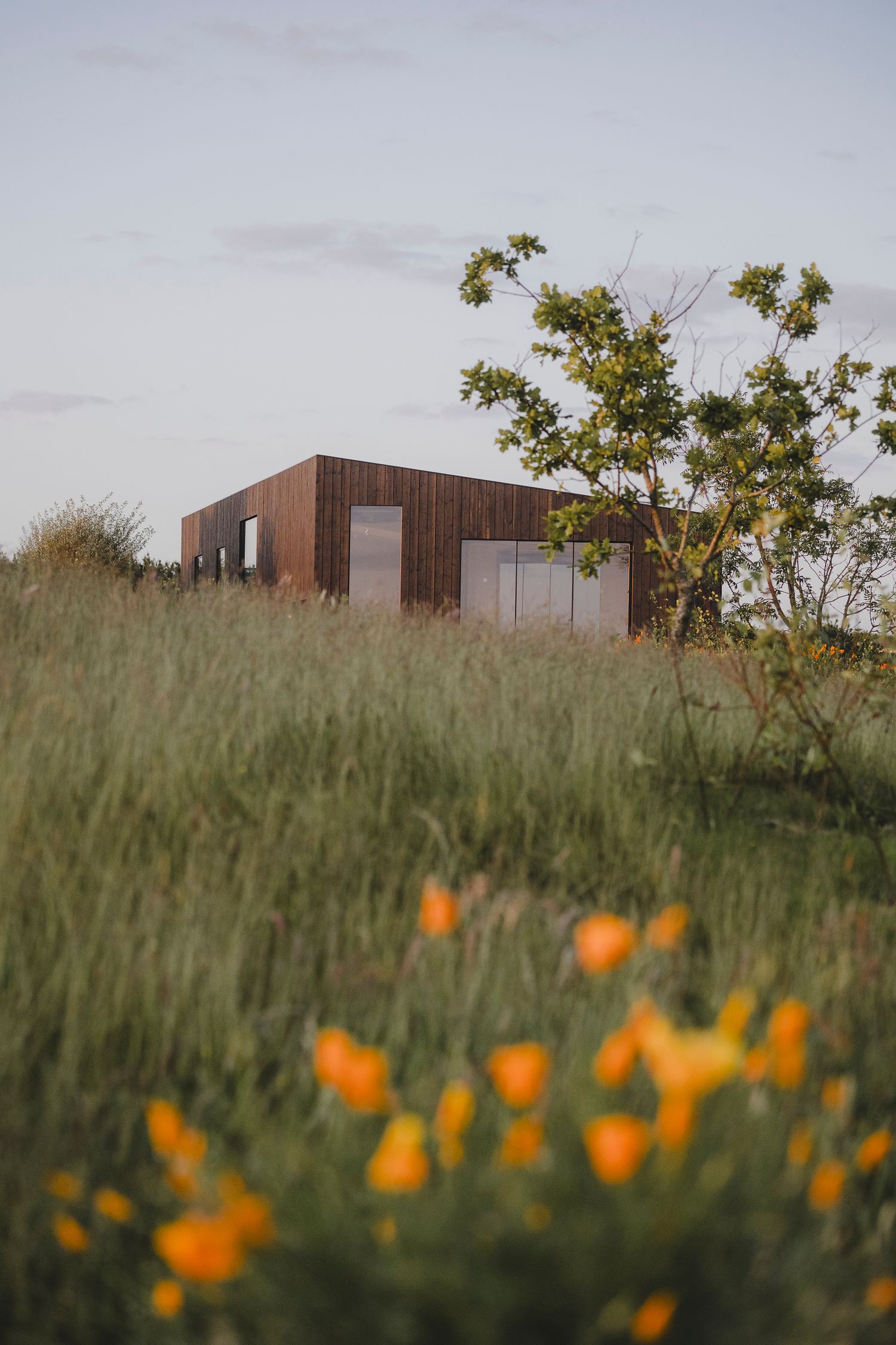 Garden Landscape Photography - Darren Hawkes Garden Design - Koto at the Point Polzeath