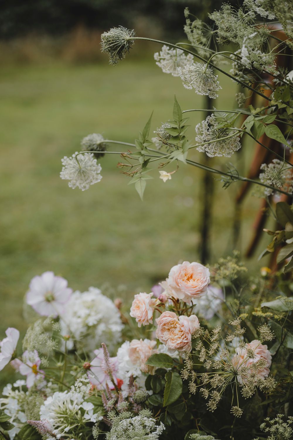 Botanical Photography - Beauty in Plants - Nature Photography