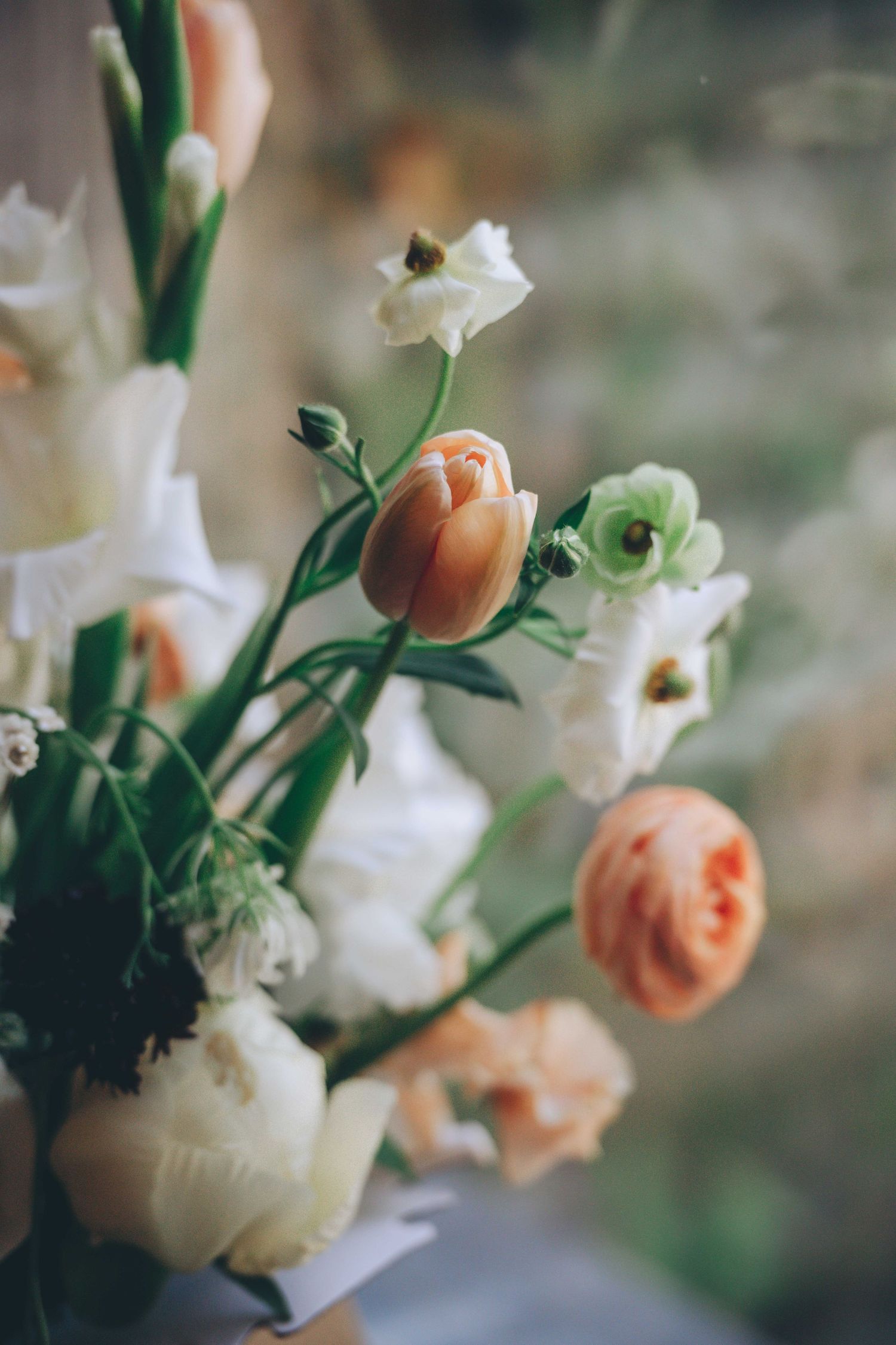 Botanical Photography - Beauty in Plants - Nature Photography