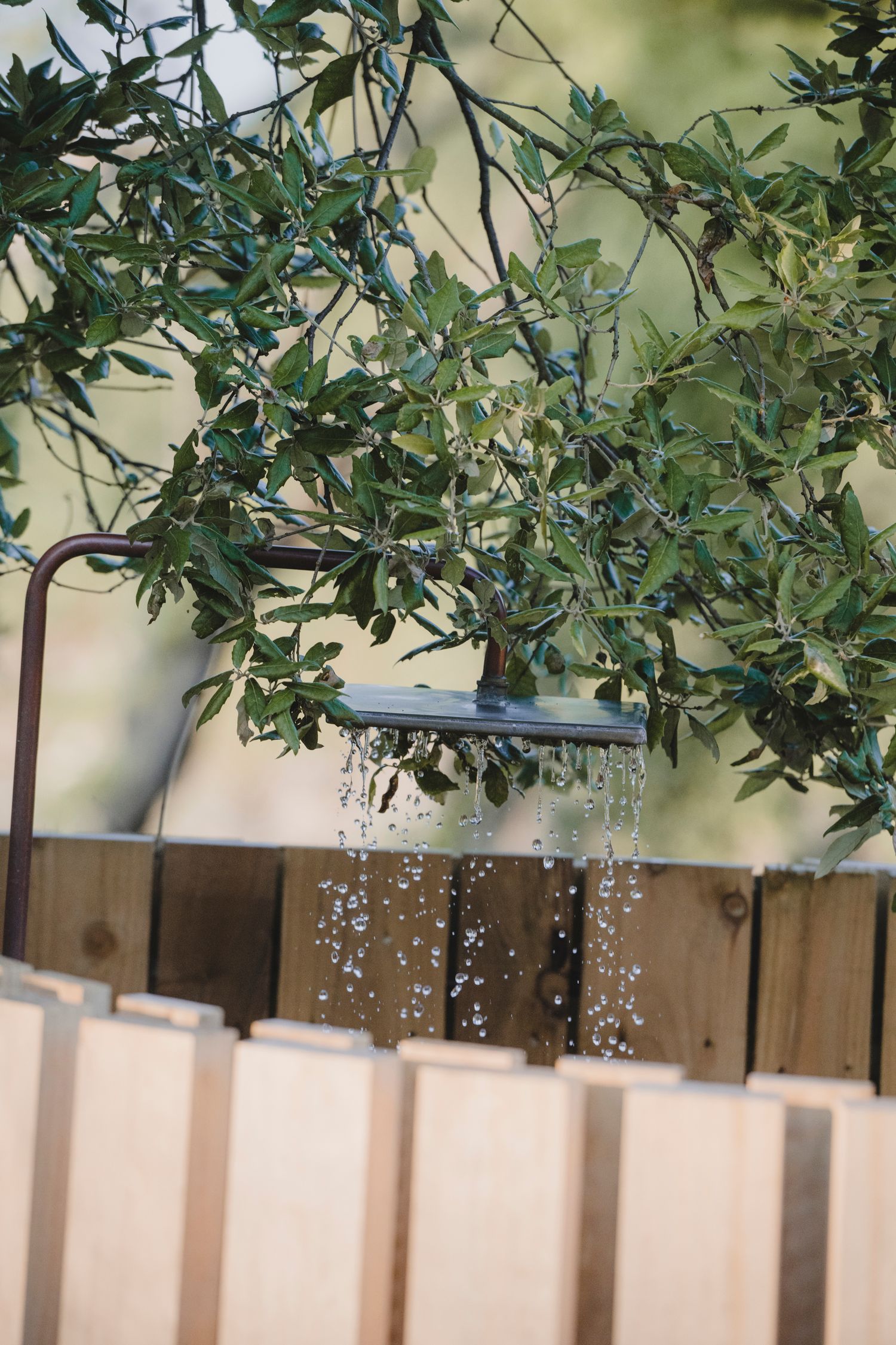 Garden Landscape Photography