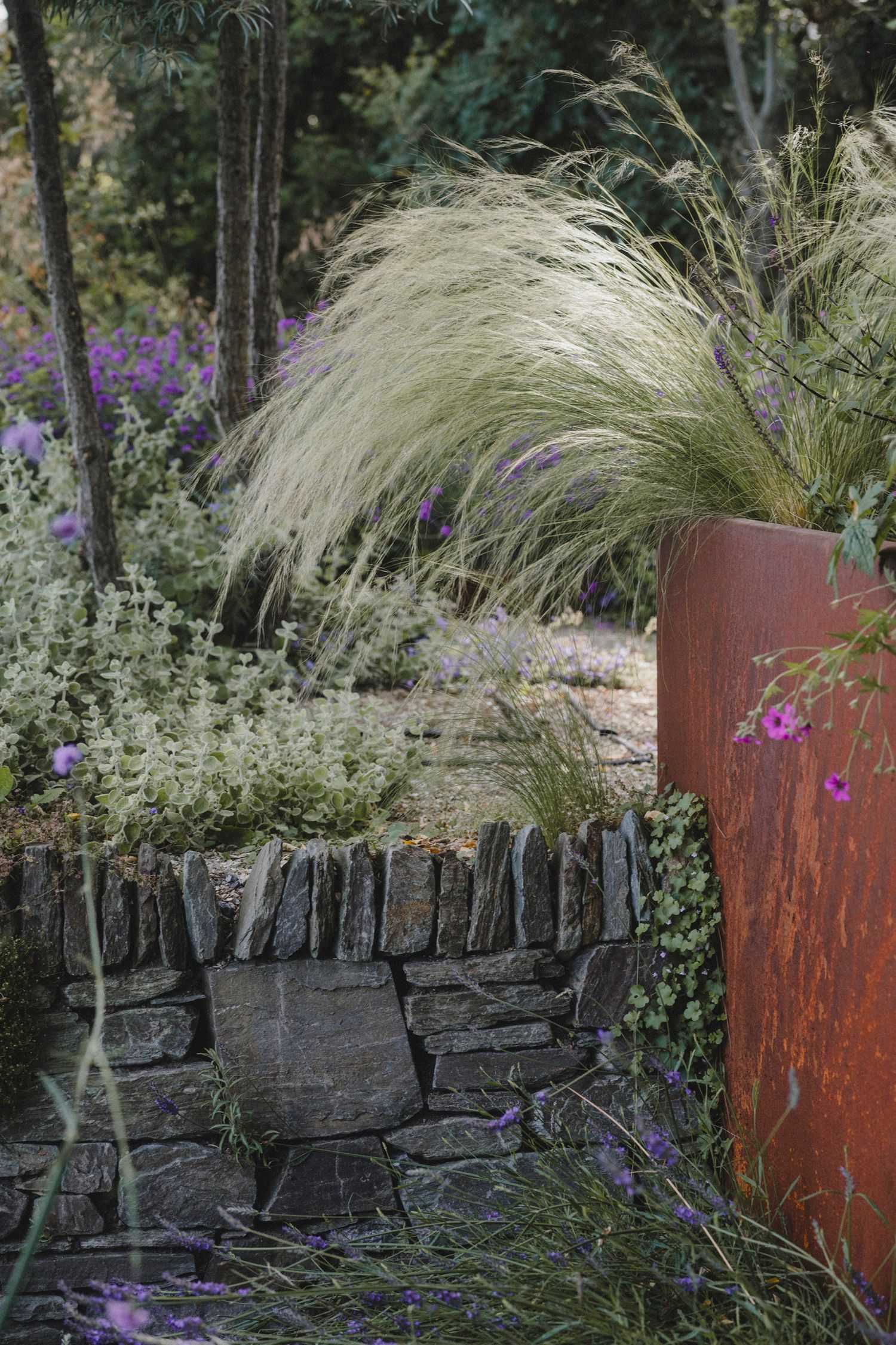Garden Landscape Photography - Darren Hawkes Garden Design