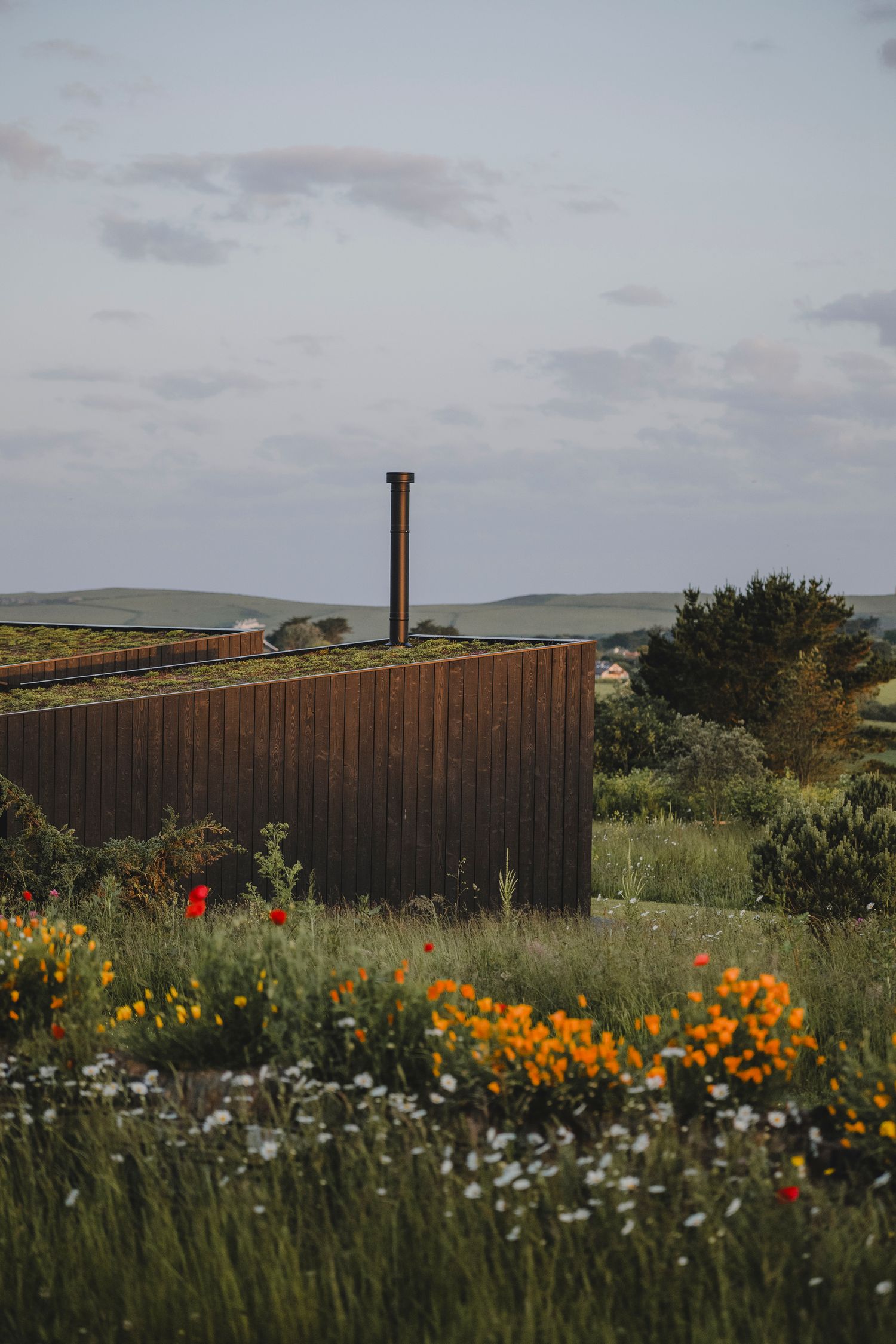 Garden Landscape Photography - Darren Hawkes Garden Design - Koto at the Point Polzeath
