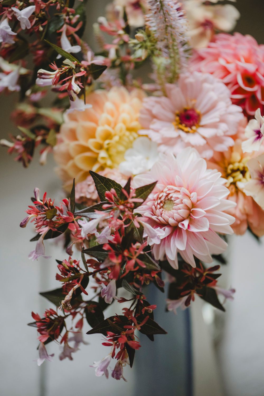 Botanical Photography - Beauty in Plants - Nature Photography