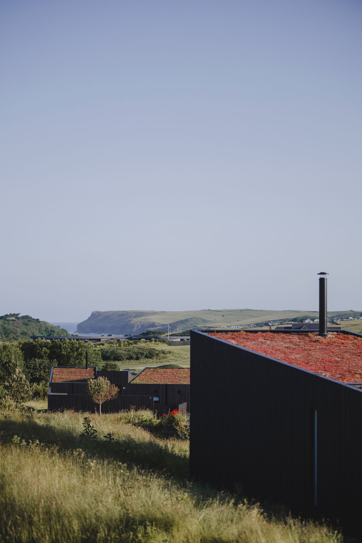 Garden Landscape Photography - Darren Hawkes Garden Design - Koto at the Point Polzeath