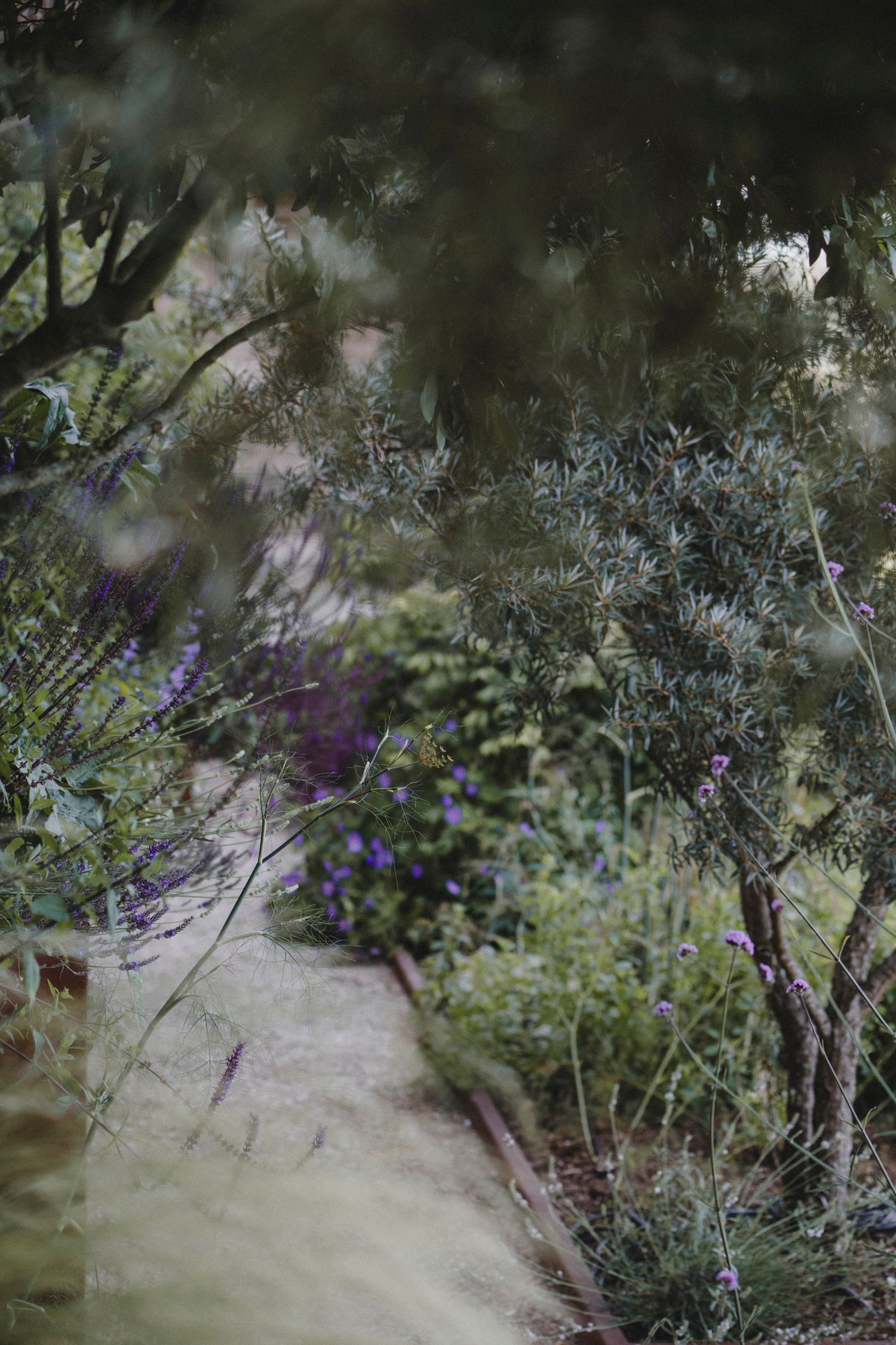 Garden Landscape Photography - Darren Hawkes Garden Design