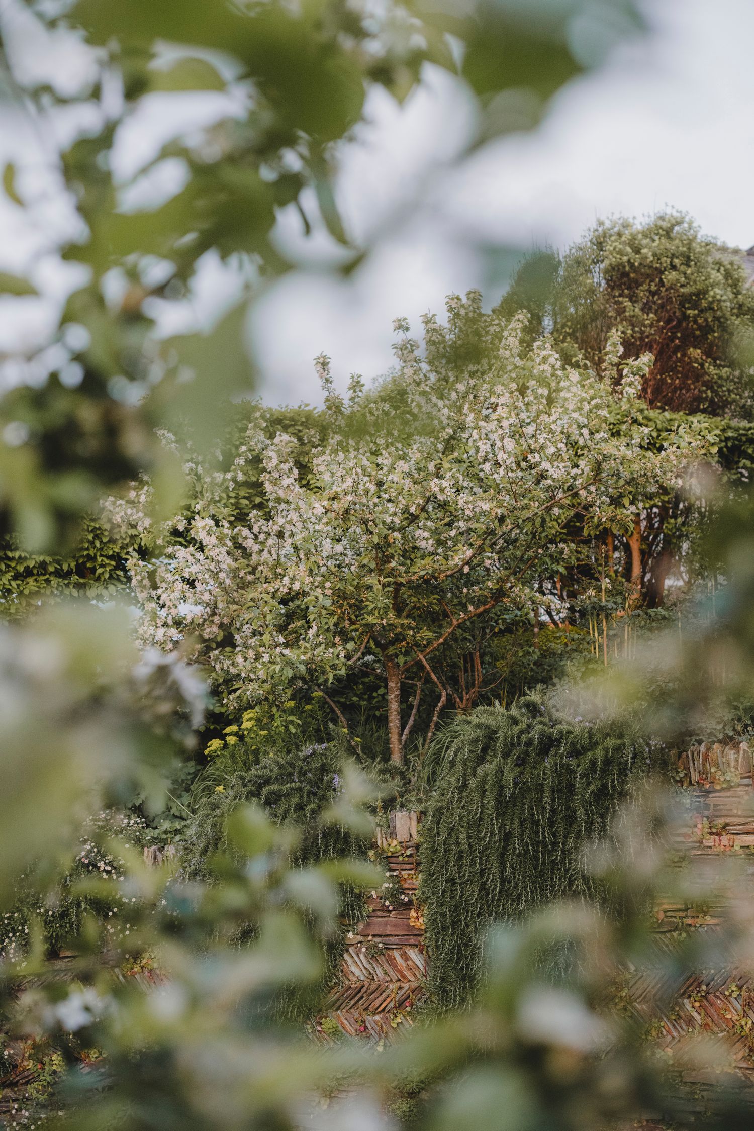 Garden Landscape Photography - Darren Hawkes Garden Design