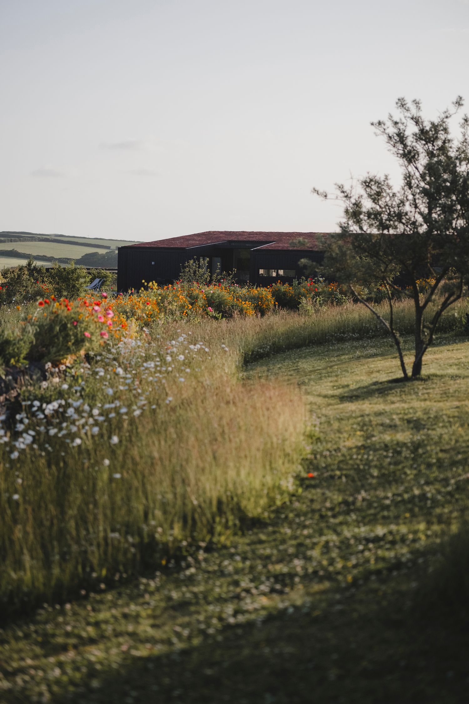 Garden Landscape Photography - Darren Hawkes Garden Design - Koto at the Point Polzeath