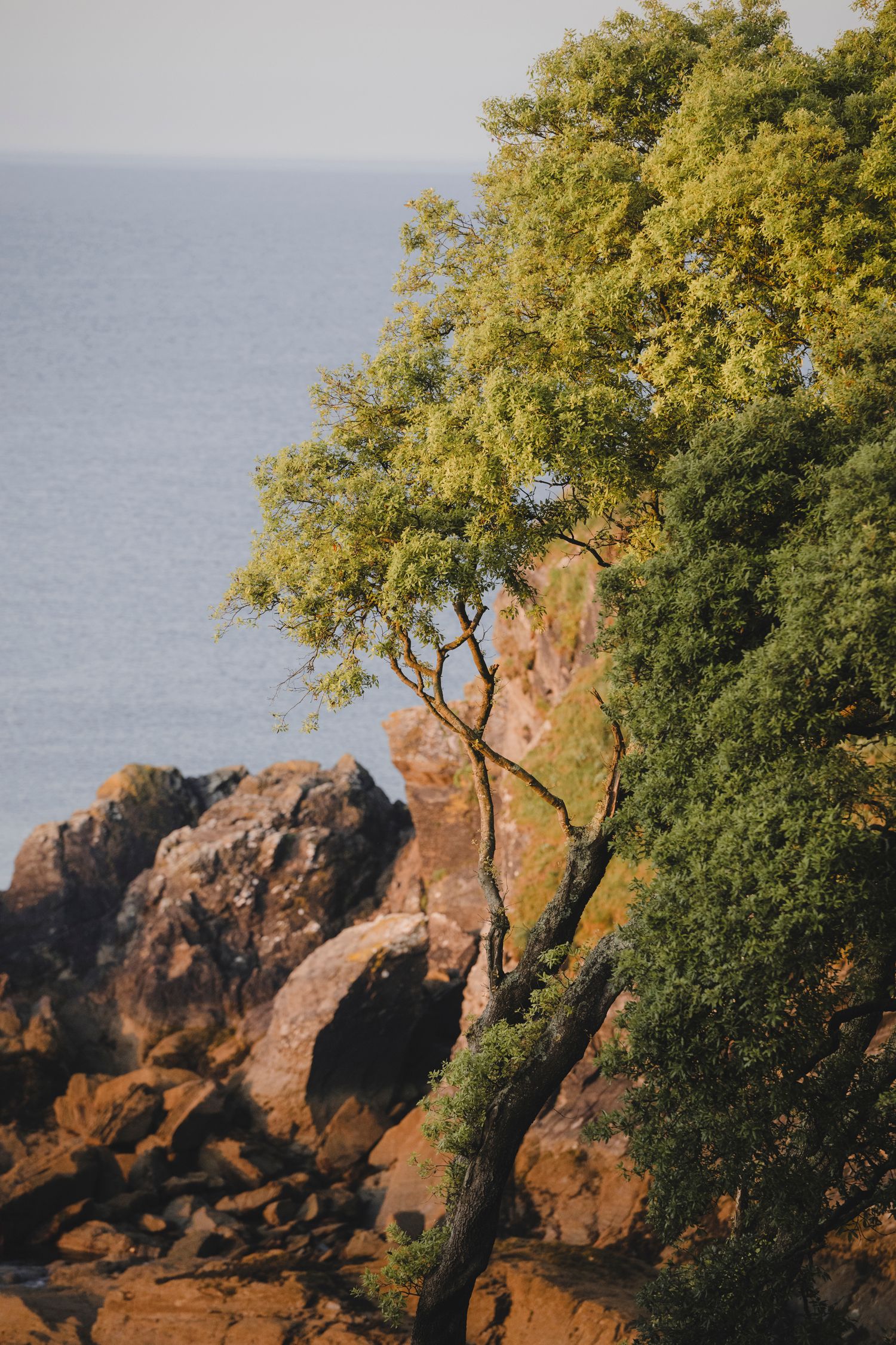 Coastal Photograph Cornwall