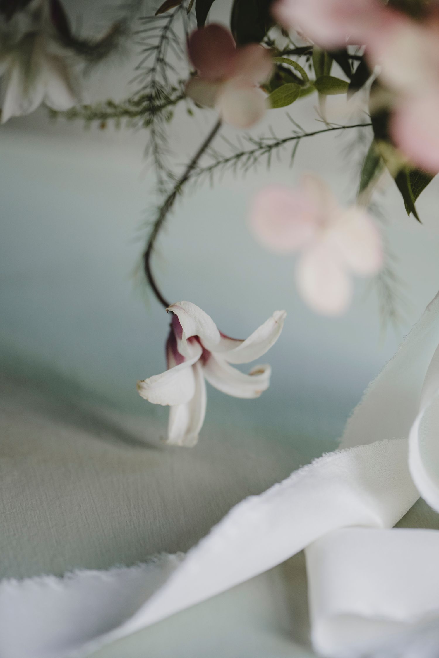Botanical Photography - Beauty in Plants - Nature Photography