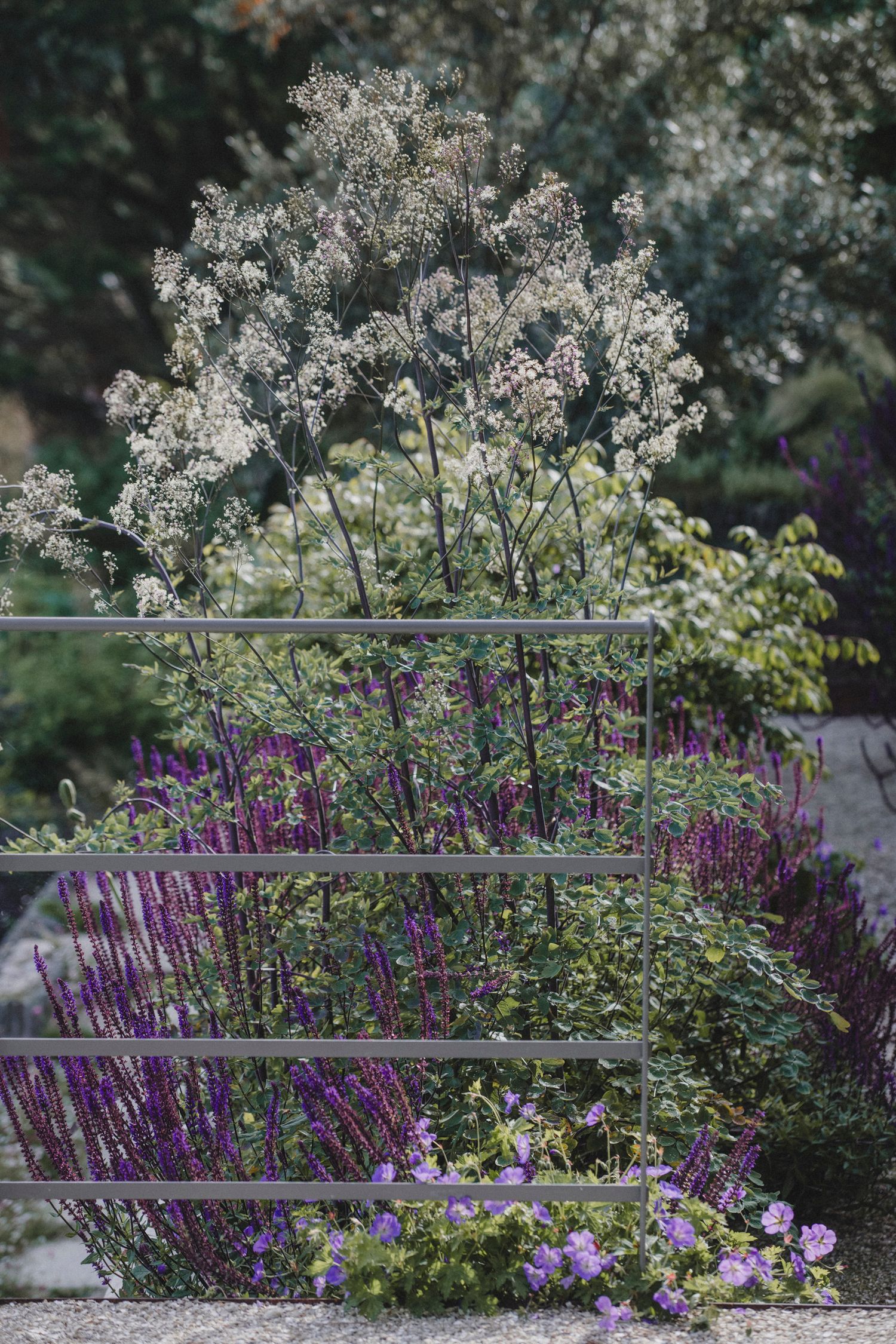 Garden Landscape Photography - Darren Hawkes Garden Design