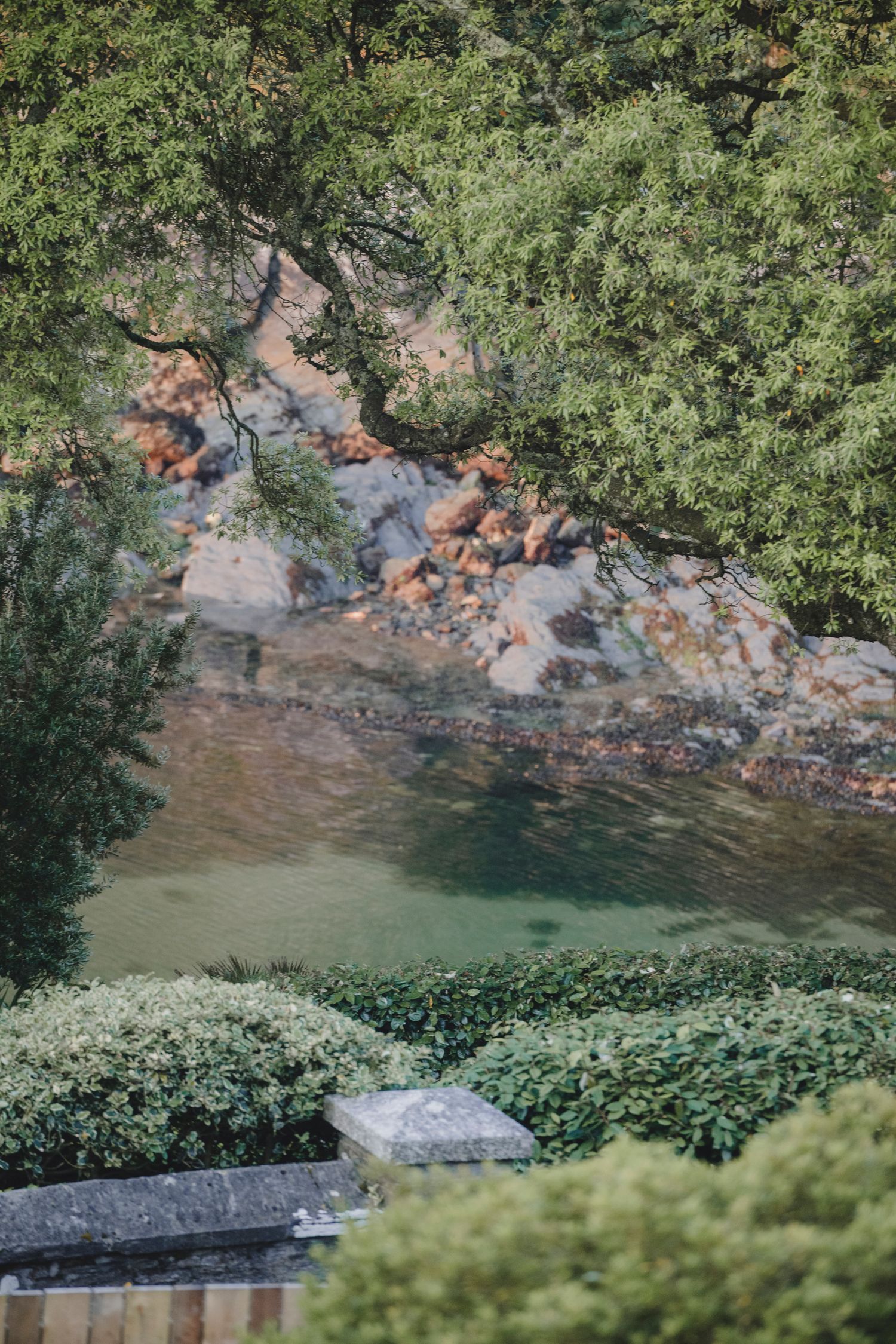Garden Landscape Photography - Darren Hawkes Garden Design