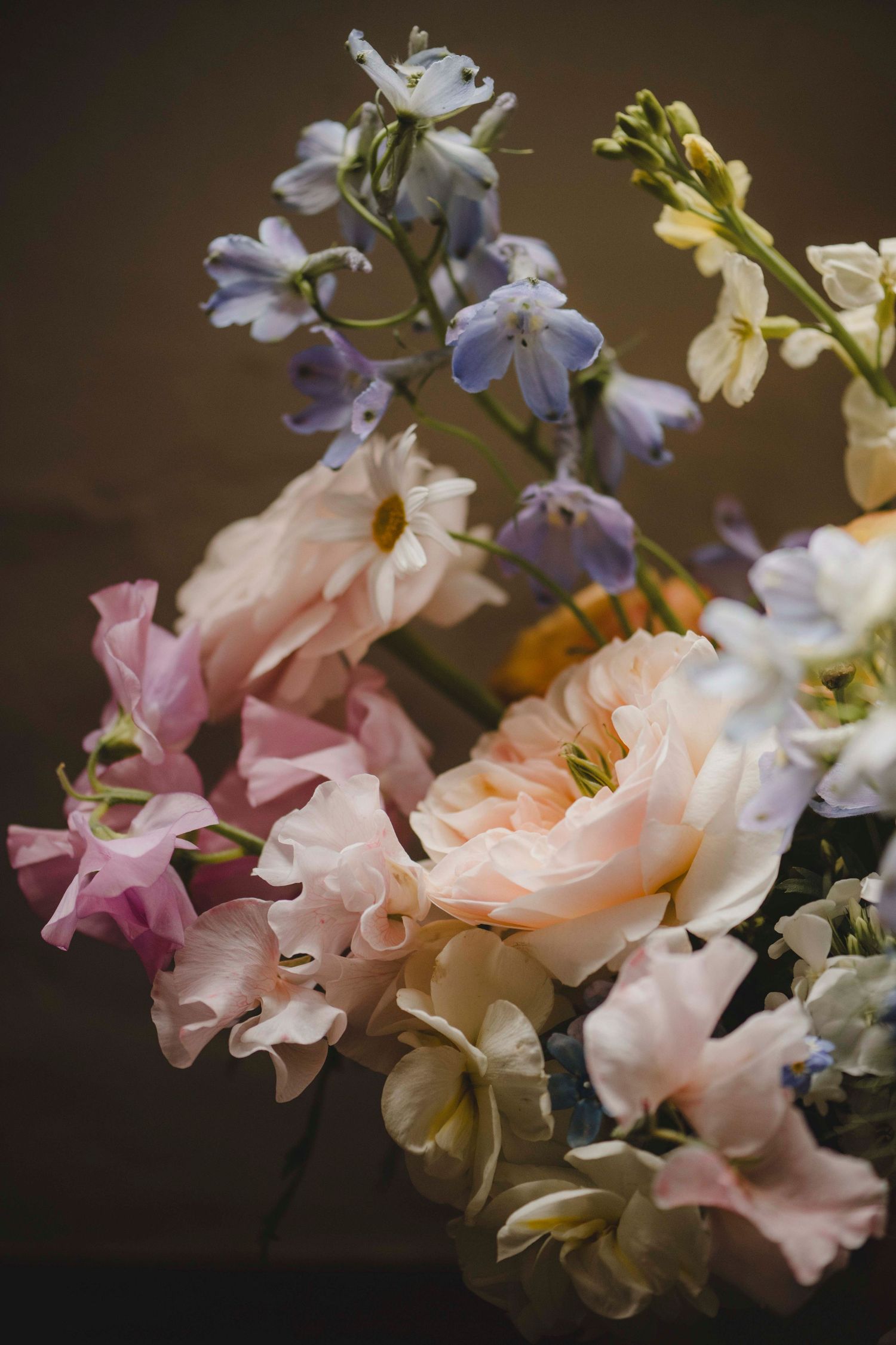 Botanical Photography - Beauty in Plants - Nature Photography