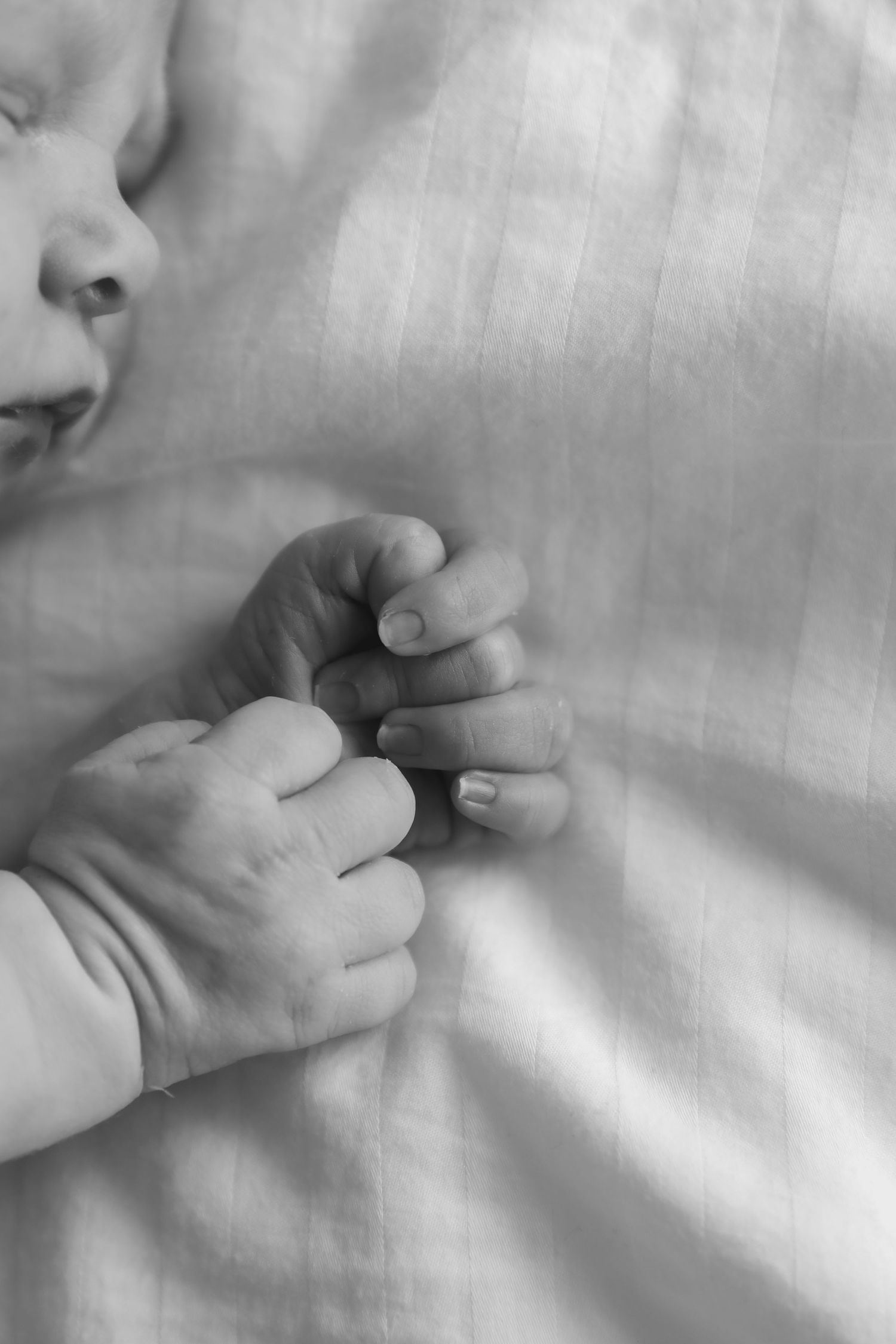 ALILOPHOTO MATERNITY MOTHERHOOD NEWBORN PHOTOGRAPHER NEARBY