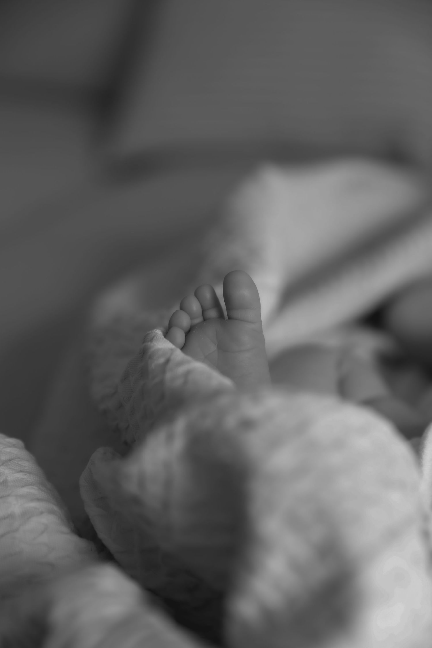 ALILOPHOTO DERBYSHIRE BASED NEWBORN PHOTOGRAPHER FAMILY PHOTOGRAPHY NEWBORN PHOTOGRAPHY