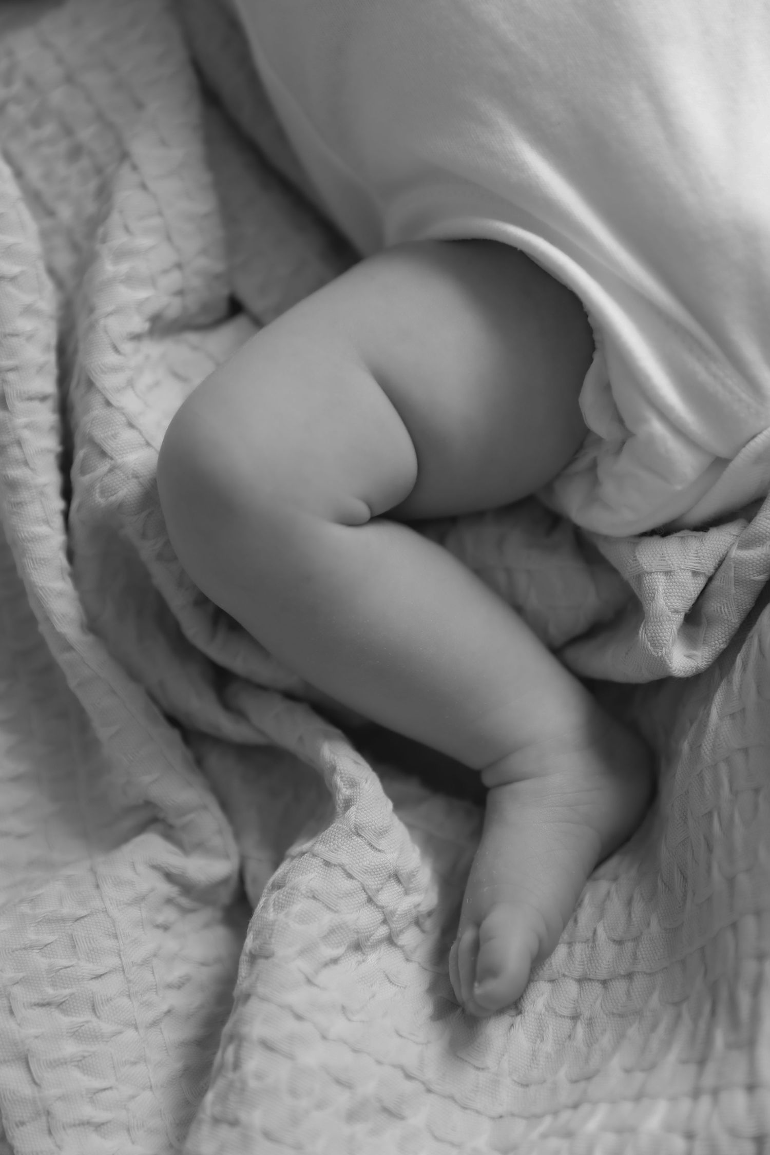 ALILOPHOTO DERBYSHIRE BASED NEWBORN PHOTOGRAPHER FAMILY PHOTOGRAPHY NEWBORN PHOTOGRAPHY