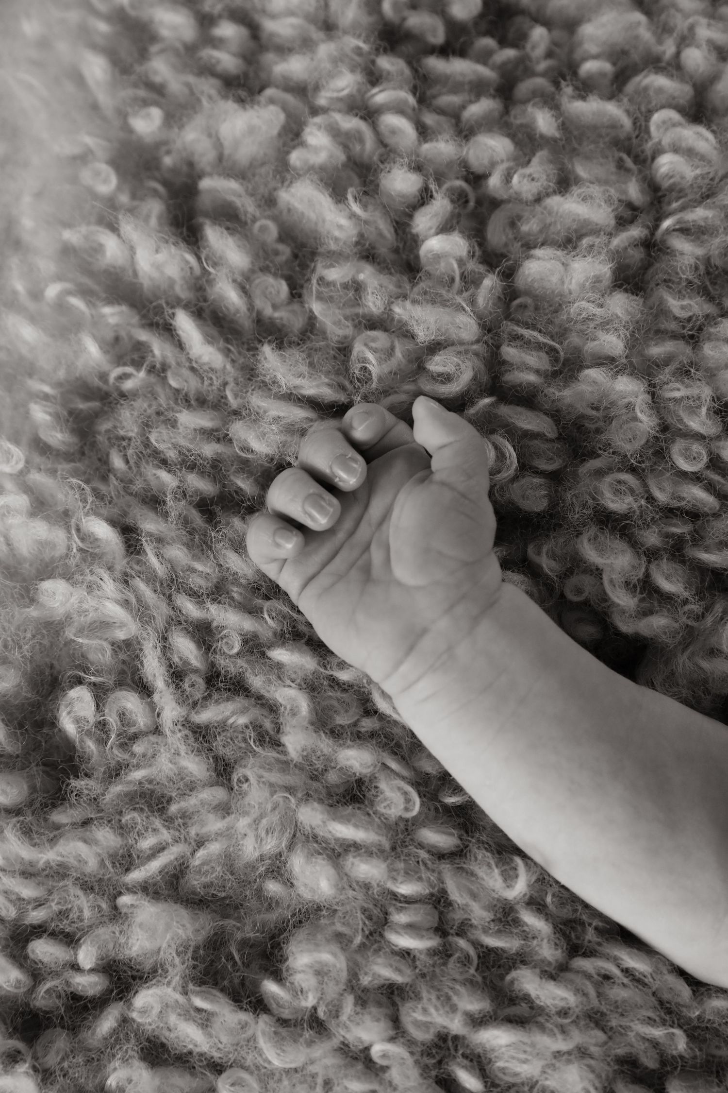 Black and white close-up of a baby's bare foot resting on a textured shag carpet or fluffy rug.