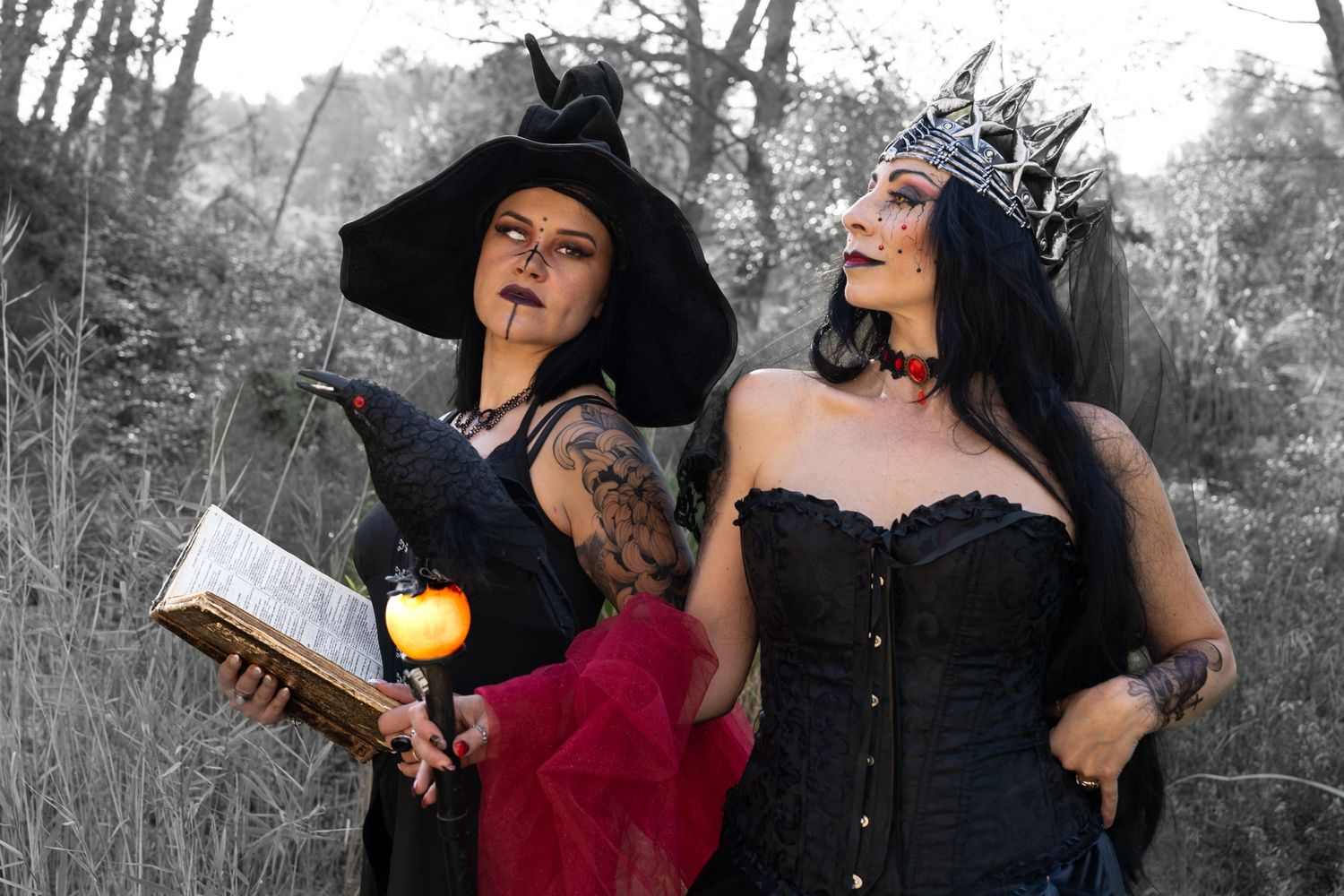 La reine et la sorcière