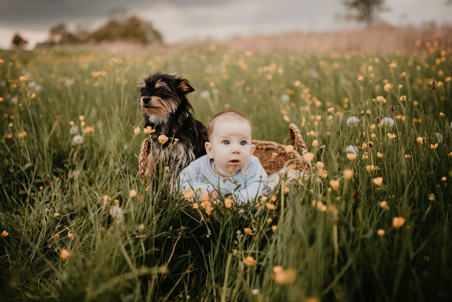 affordable natural family photographer cambridge