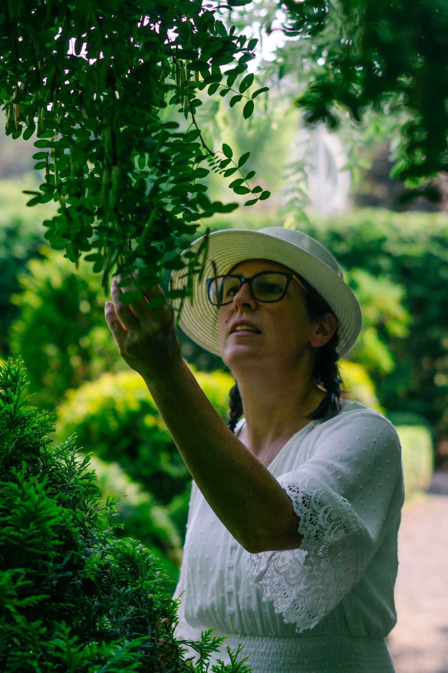 A person in a white hat and glasses reaches up to pick fruit or berries from green foliage in a garden setting.