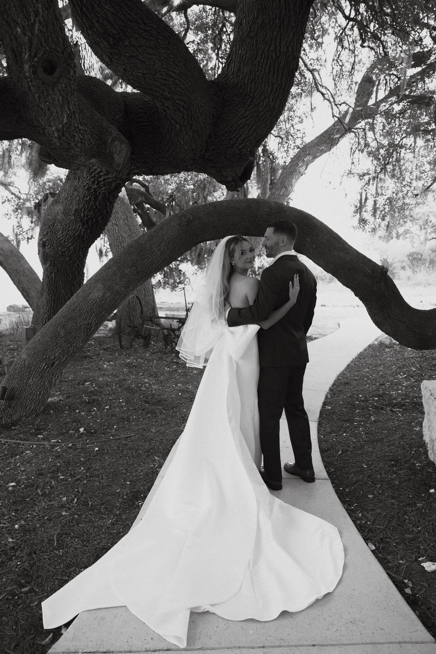 A couple poses romantically under a large twisted oak tree branch in their wedding attire at sunset.