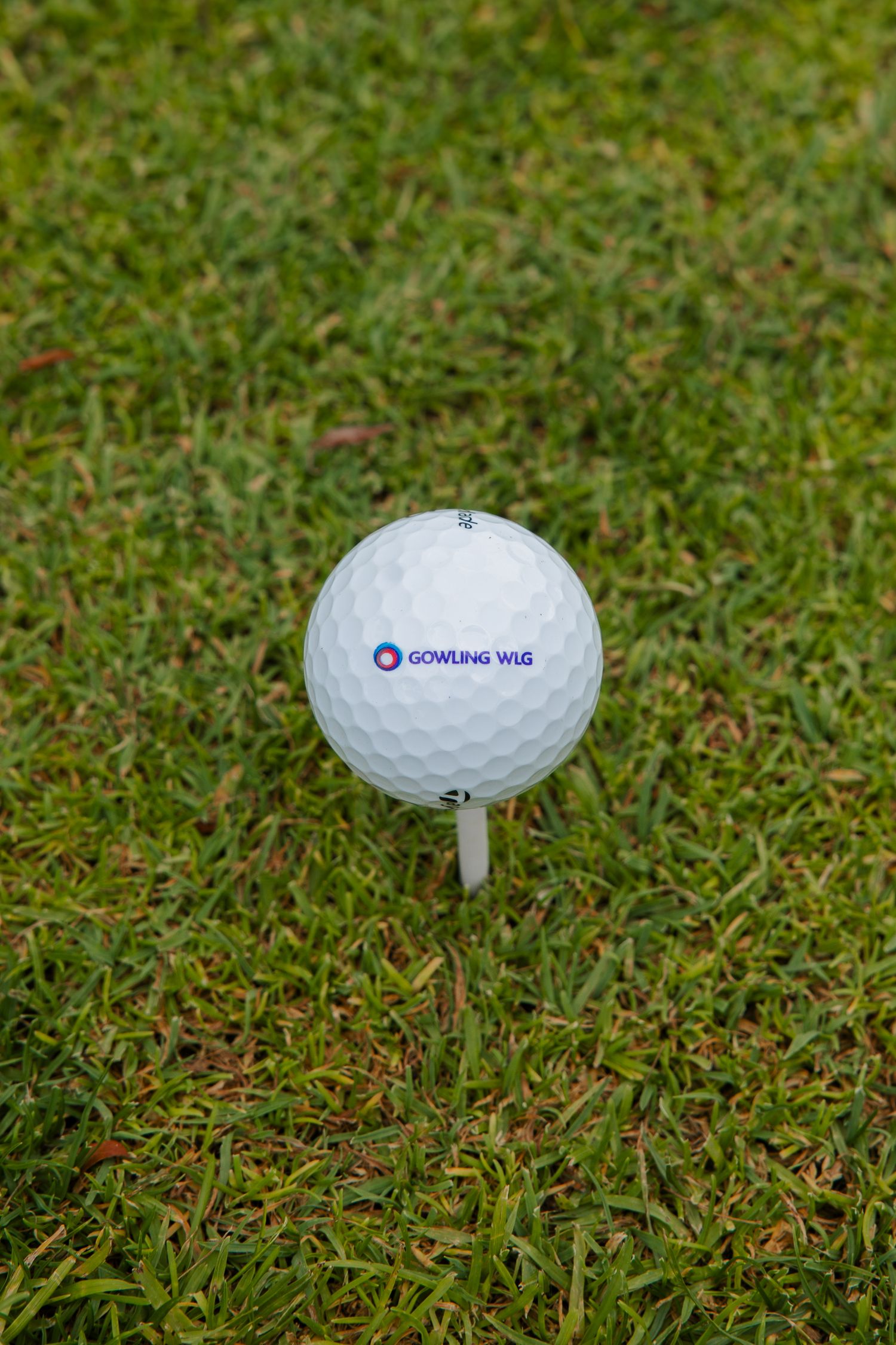 A Gowling WLG branded white golf ball perched on a tee on a lush green golf course.