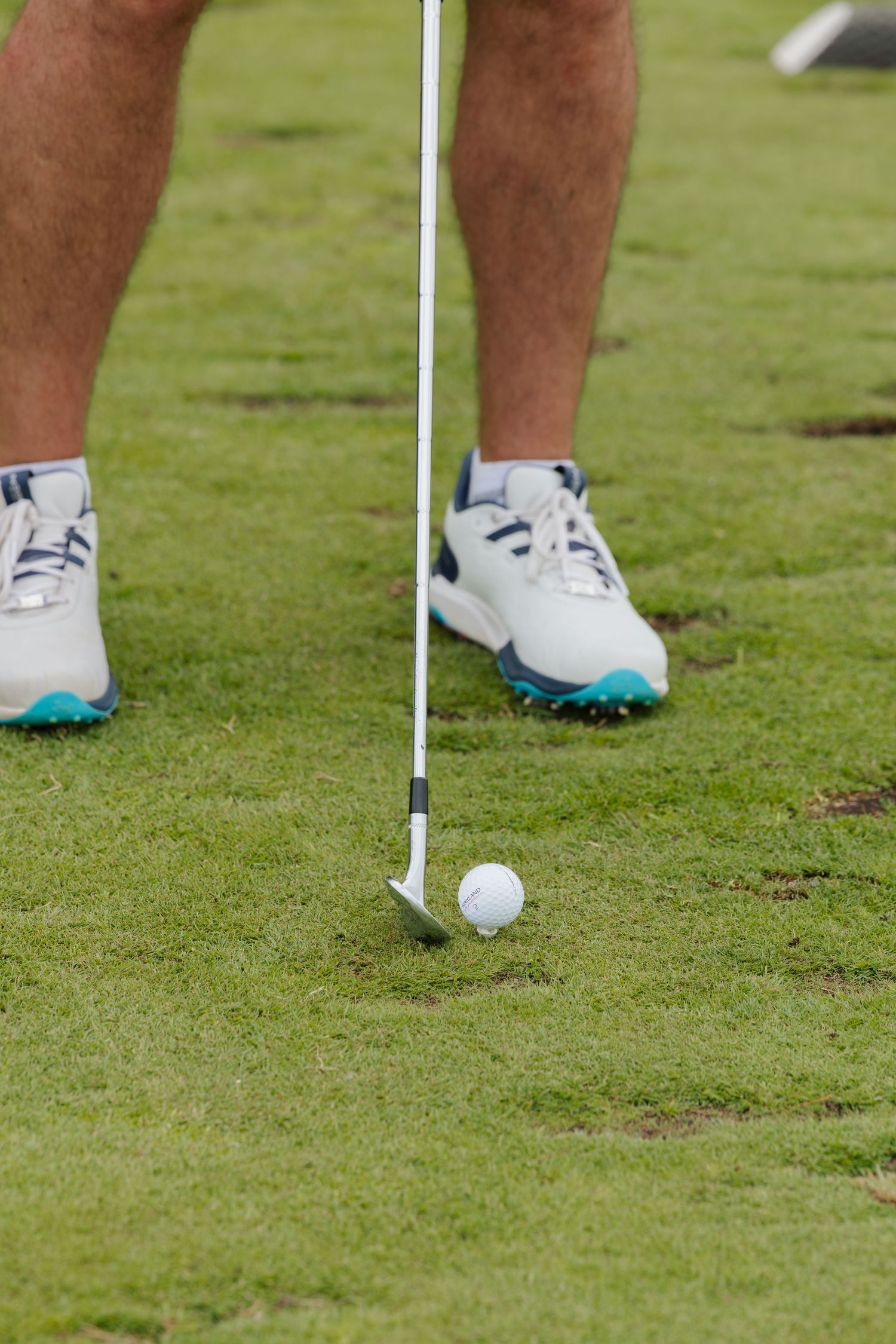 Golfer in white spiked shoes lining up a chip shot with an iron club on a lush green golf course.