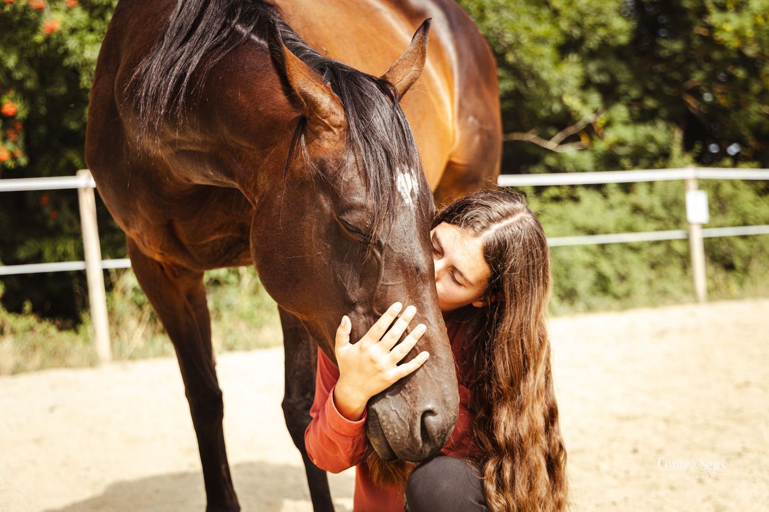 relation homme-cheval