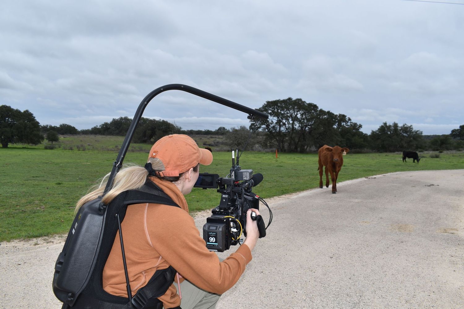 Videographer filming horse in rural field setting with professional camera equipment.