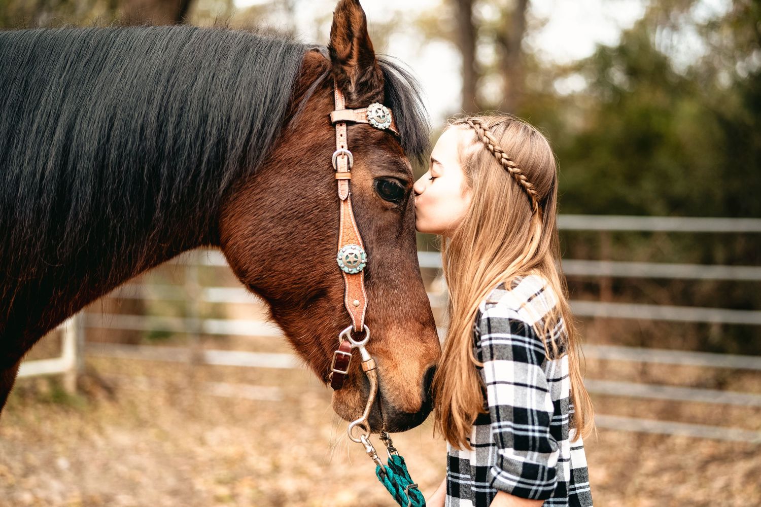 Series of candid moments with a brown horse showing affectionate interaction at a ranch.
