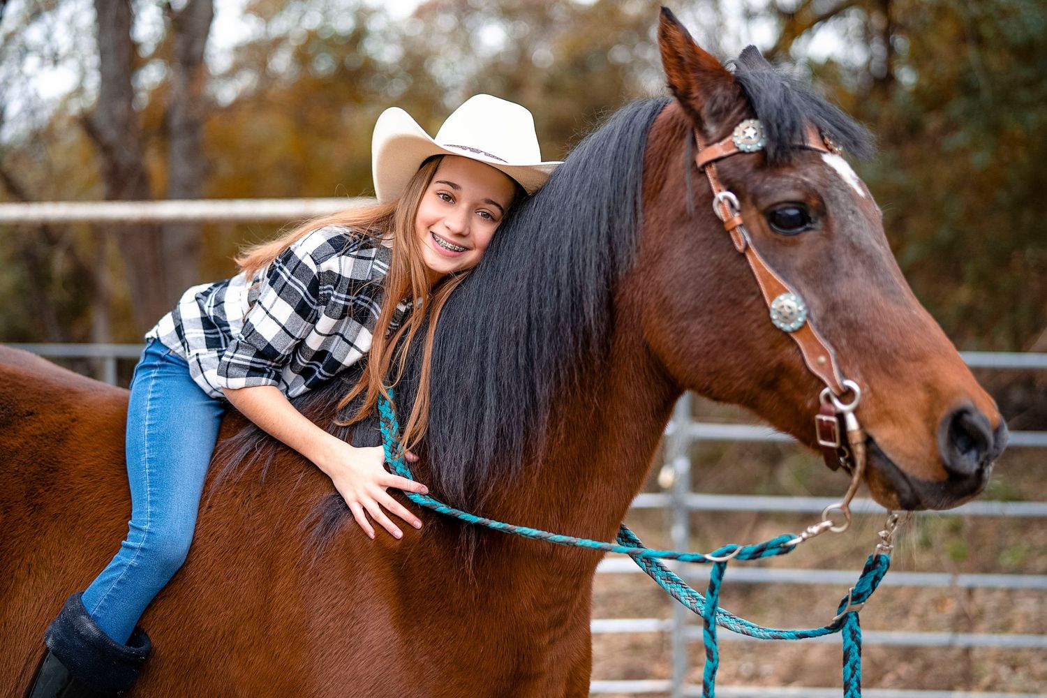 Close-up interactions with a brown horse wearing blue halter in a fenced paddock area.