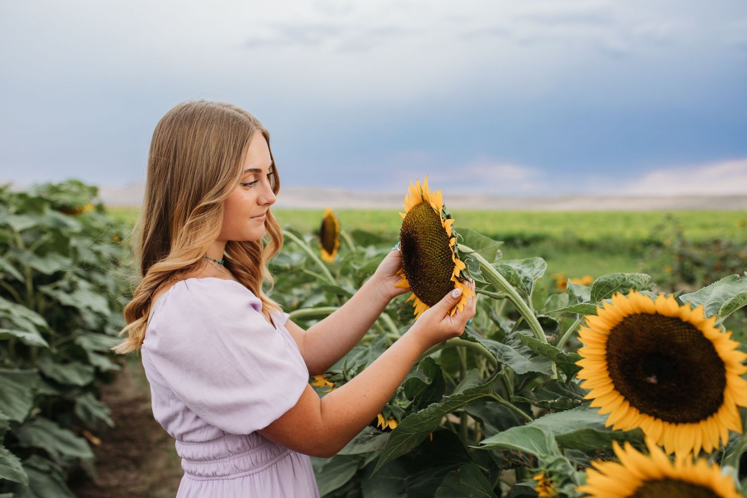 Boise senior photos in sunflower field at sunset