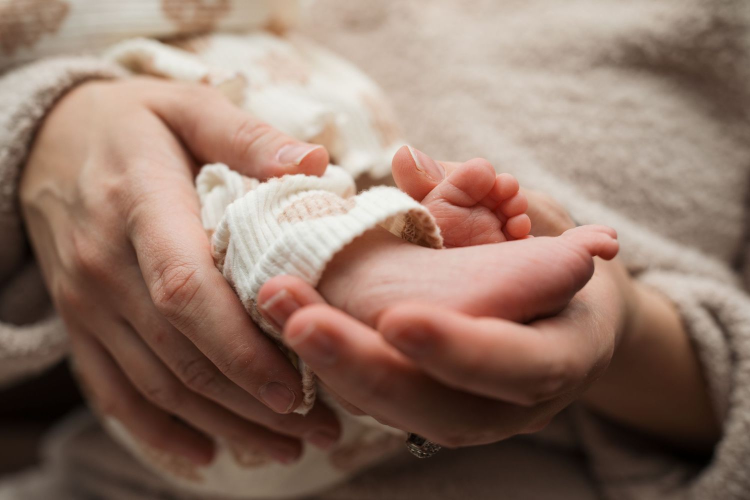 Newborn baby feet cradled in parents hands soft natural light Boise Idaho newborn photographer