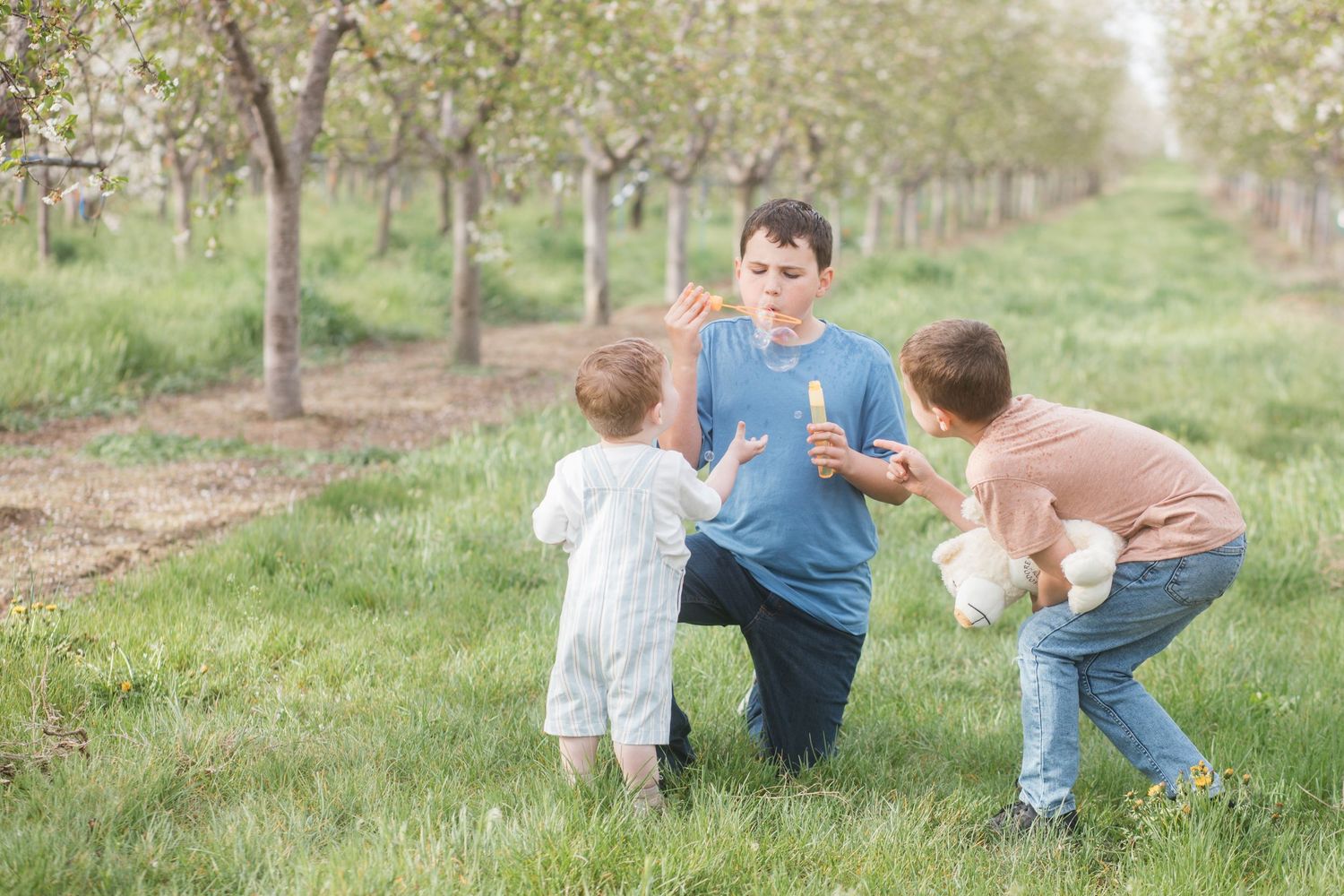 Kids playing and laughing under spring blossoms during family session in Caldwell Idaho orchard