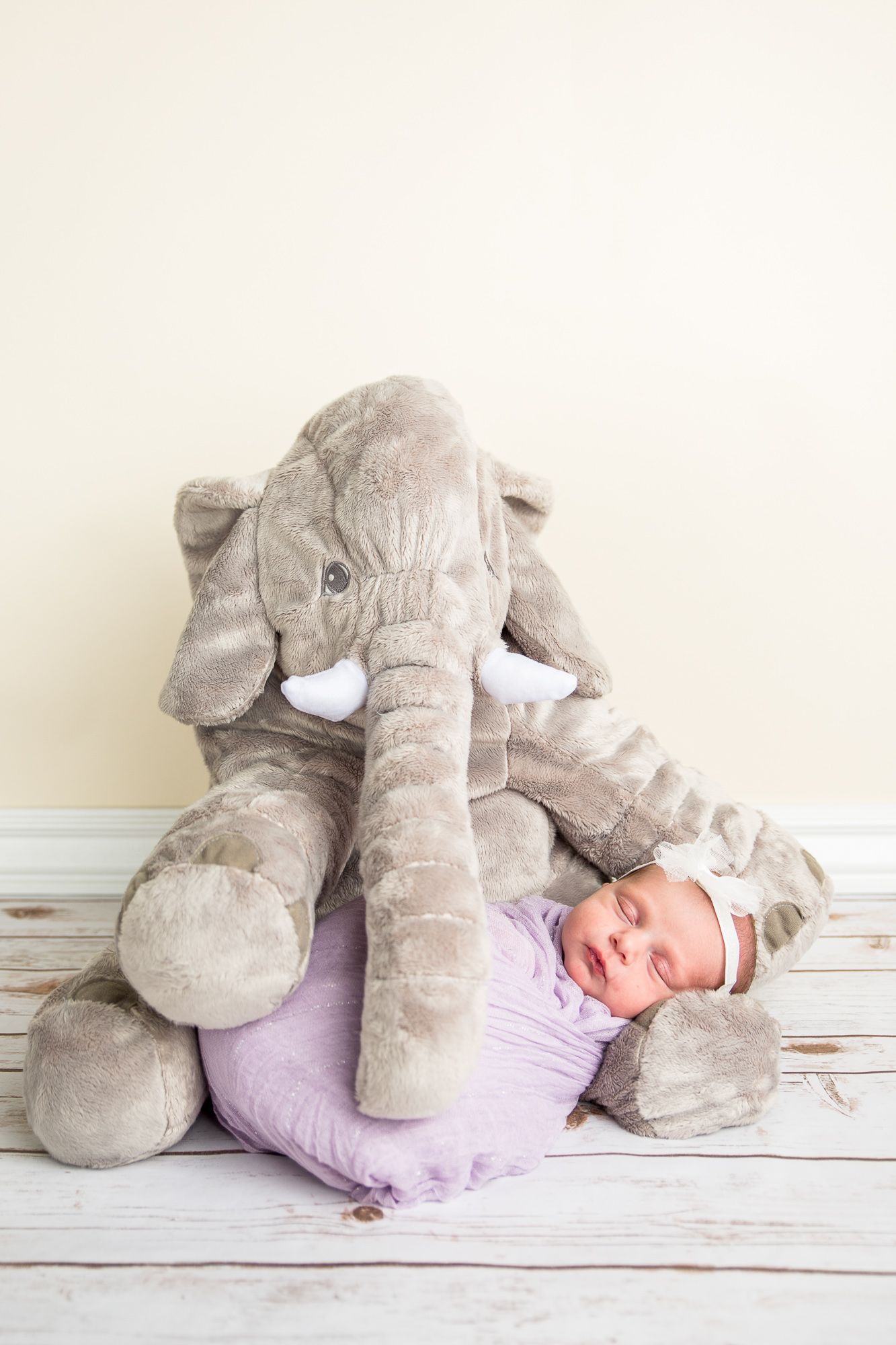 A series of photos showing a baby sleeping next to a large plush elephant pillow on a white wooden floor - studio newborn photography Boise