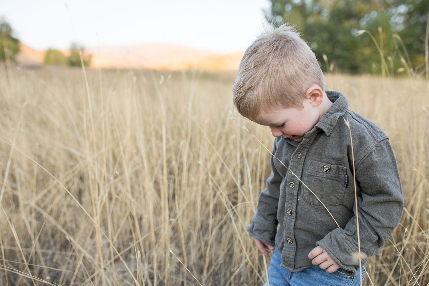 A young child wearing a denim jacket plays in a golden field of tall grass during sunset-lifestyle family photos in Boise