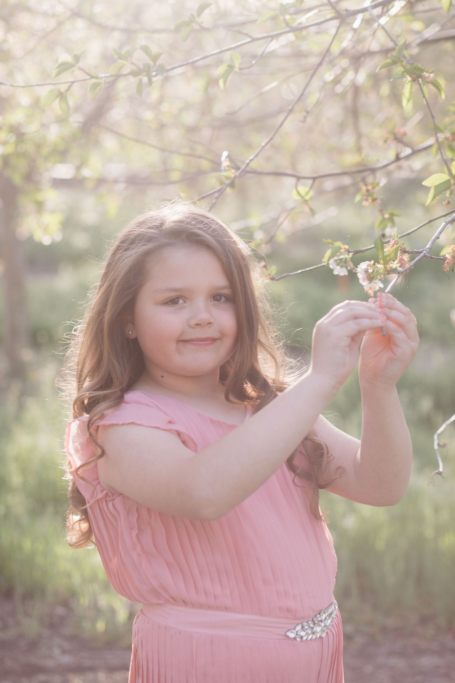 Young girl holding blossom branch during golden light spring photo session in Caldwell Idaho orchard
