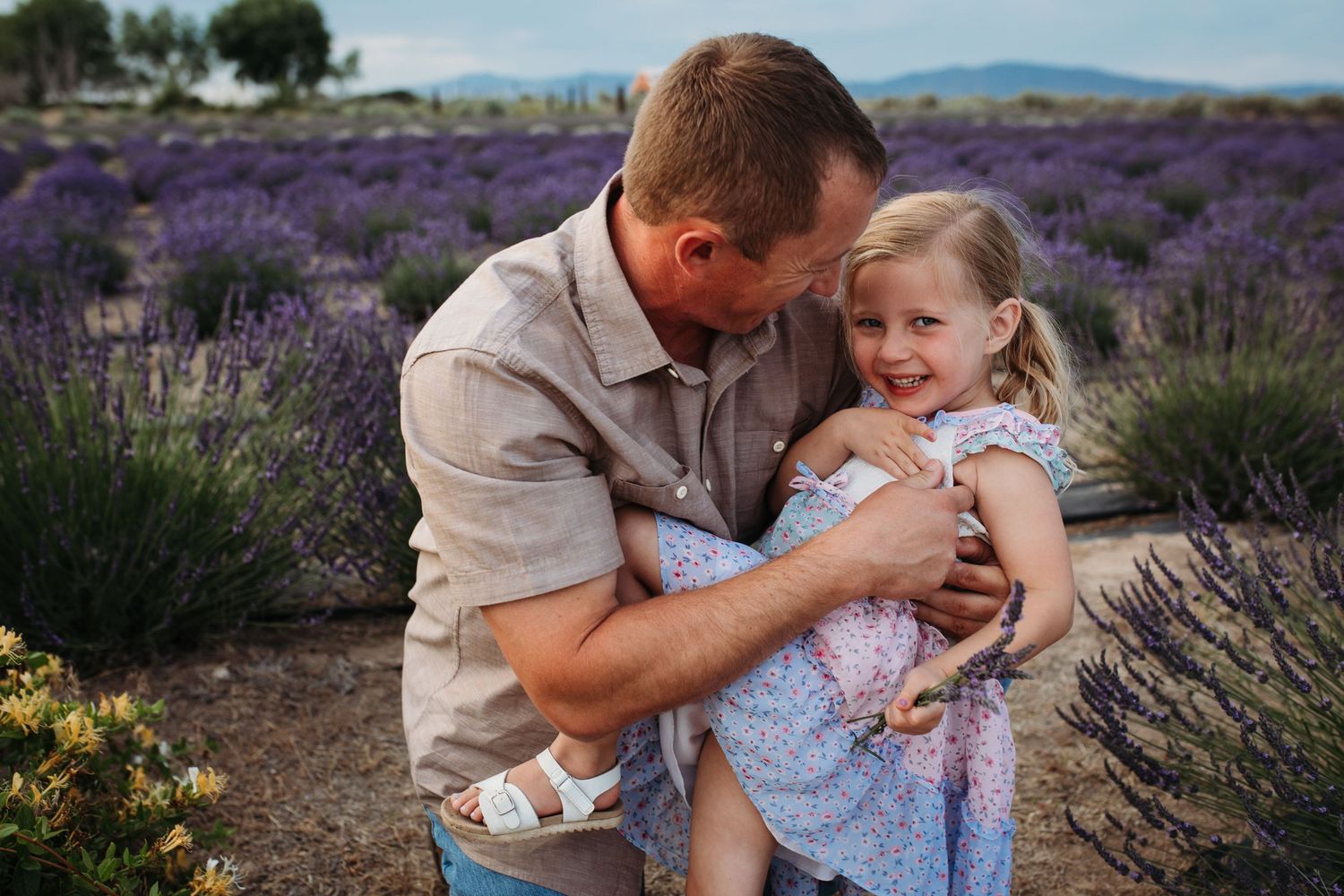 Father hugging his young daughter in a blooming Idaho lavender field during a summer family photography session.