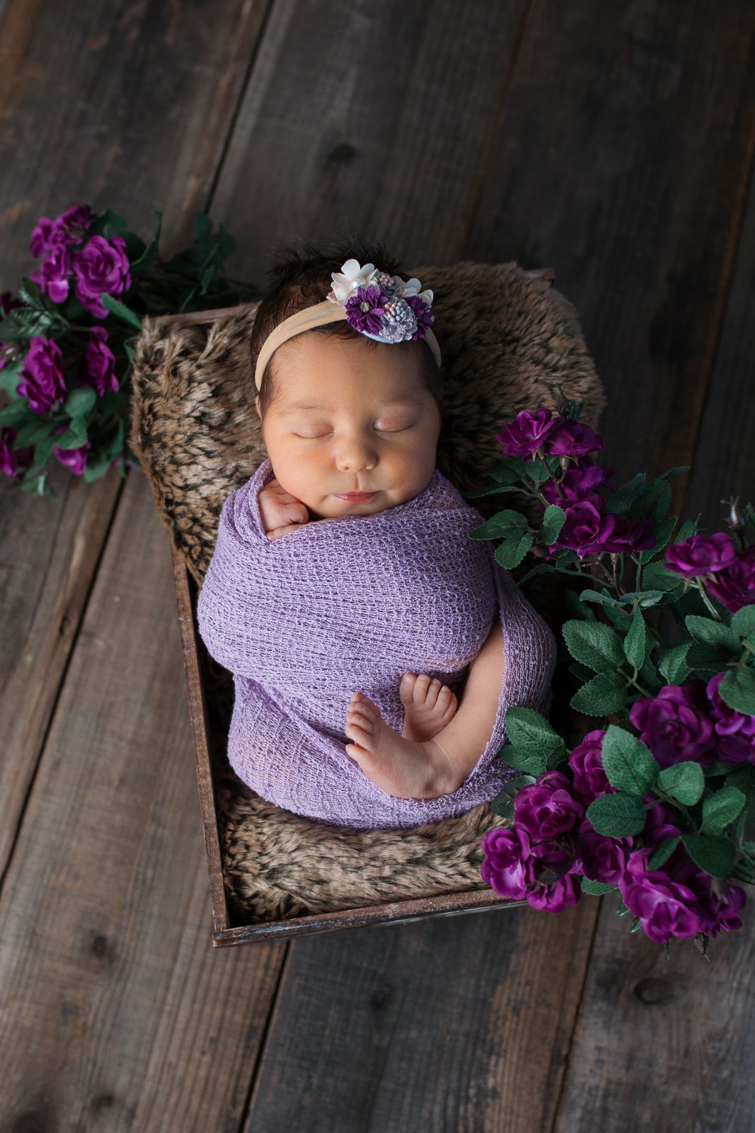 Newborn photography series with purple wrap and vibrant magenta flowers on rustic wooden backdrop  studio newborn photography Caldwell Idaho