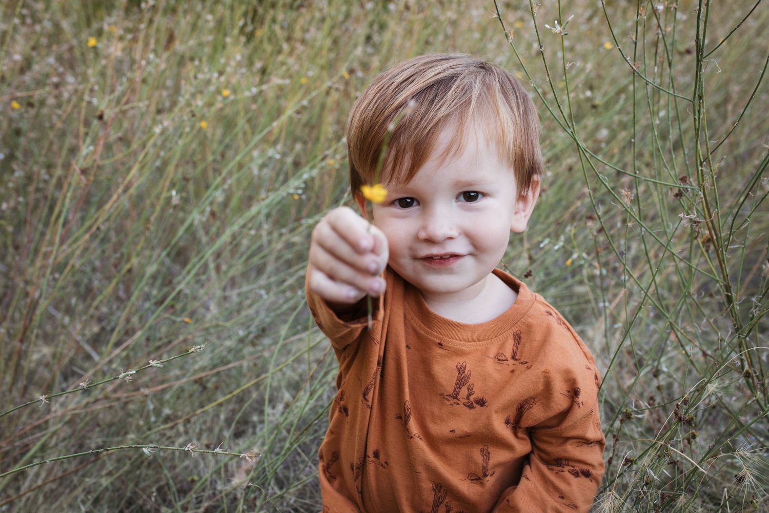 Toddler holding a wildflower during a candid outdoor family photo session in Boise, Idaho