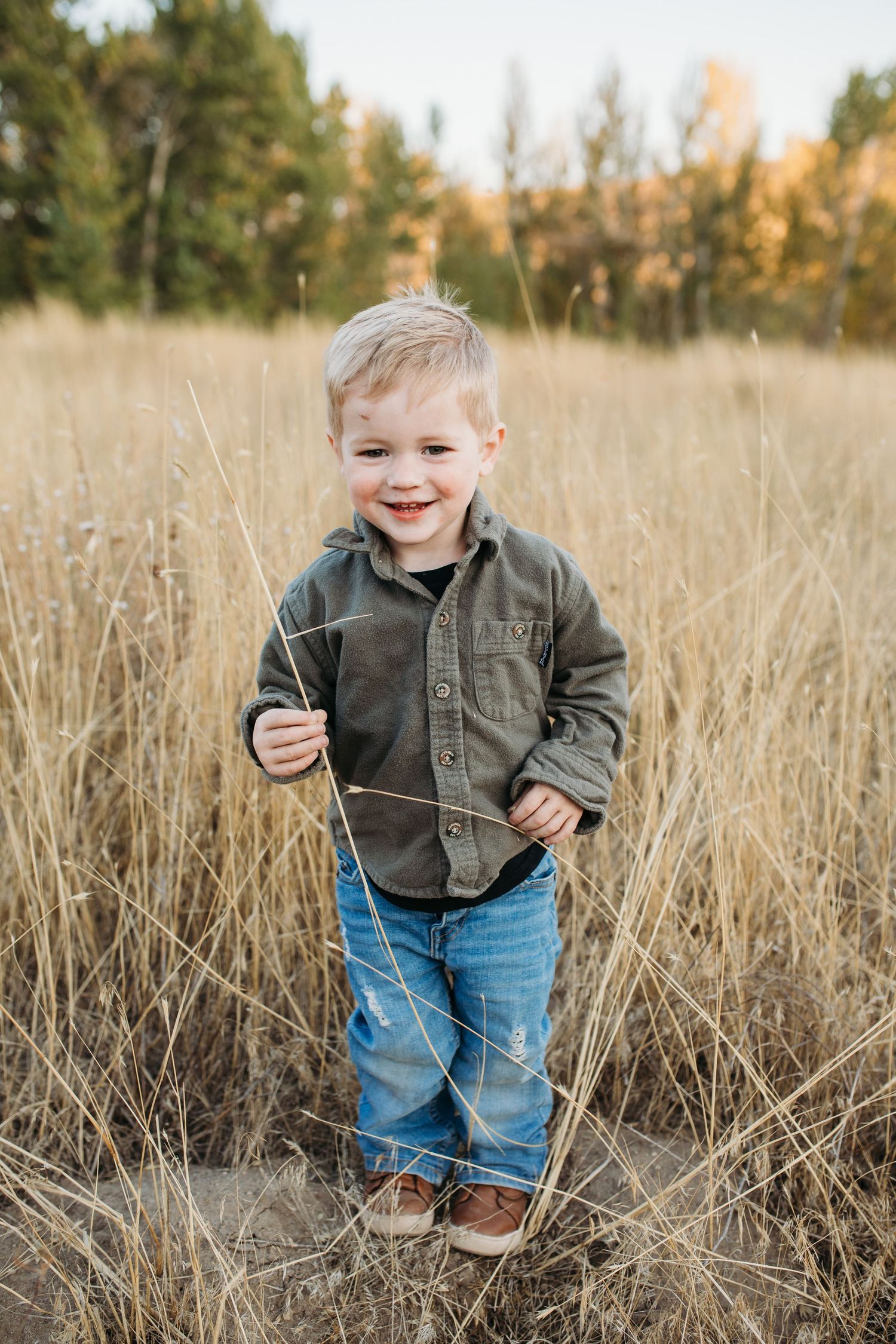 A young child in a green jacket and jeans plays in tall autumn grass during golden hour - lifestyle family photos in Boise