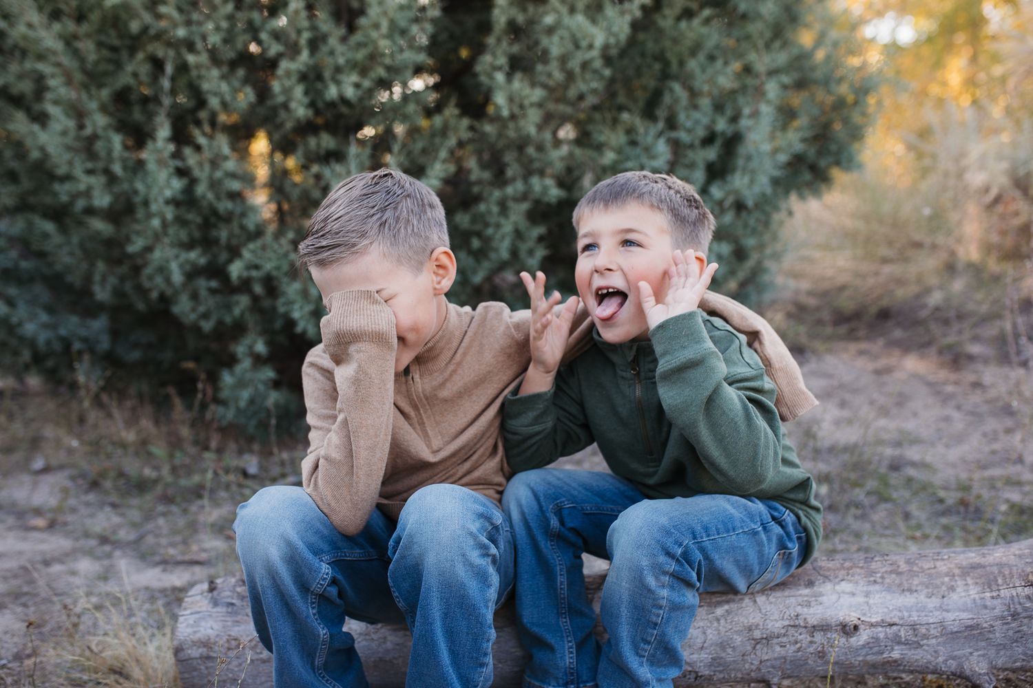A series of candid outdoor family photos showing joyful moments and laughter in a natural setting during golden hour. Boise foothills family