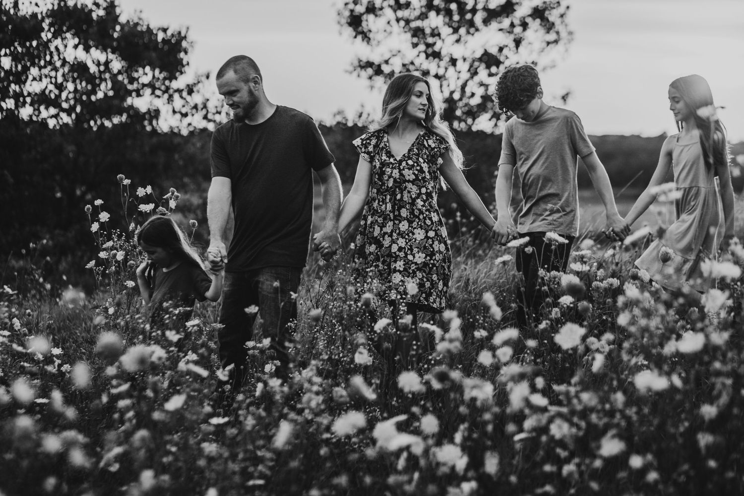A group gathers in a sunlit cotton field during harvest time, surrounded by white cotton plants stretching into the distance.