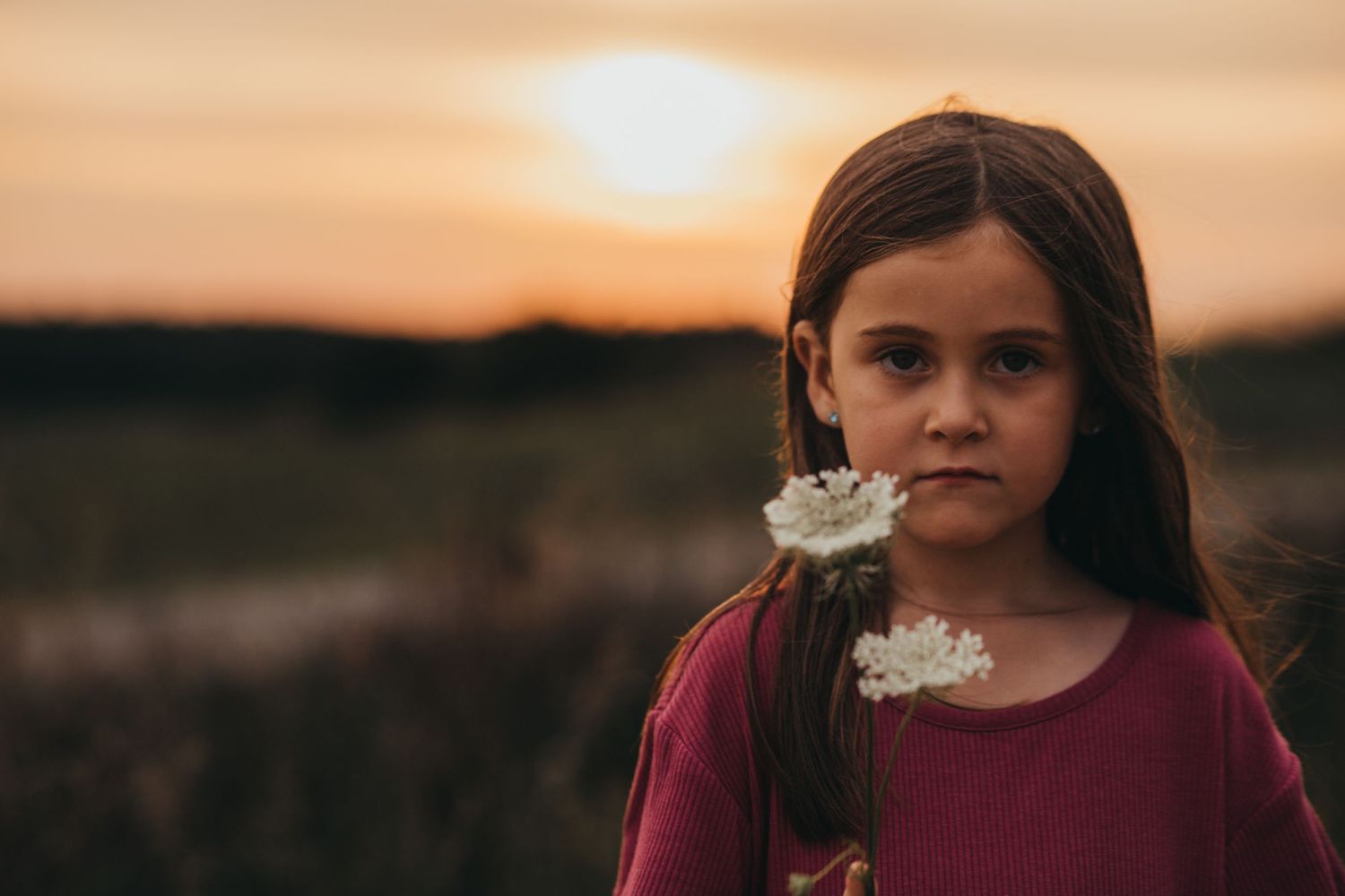 A child in a burgundy sweater holds dandelion flowers at sunset in a field.