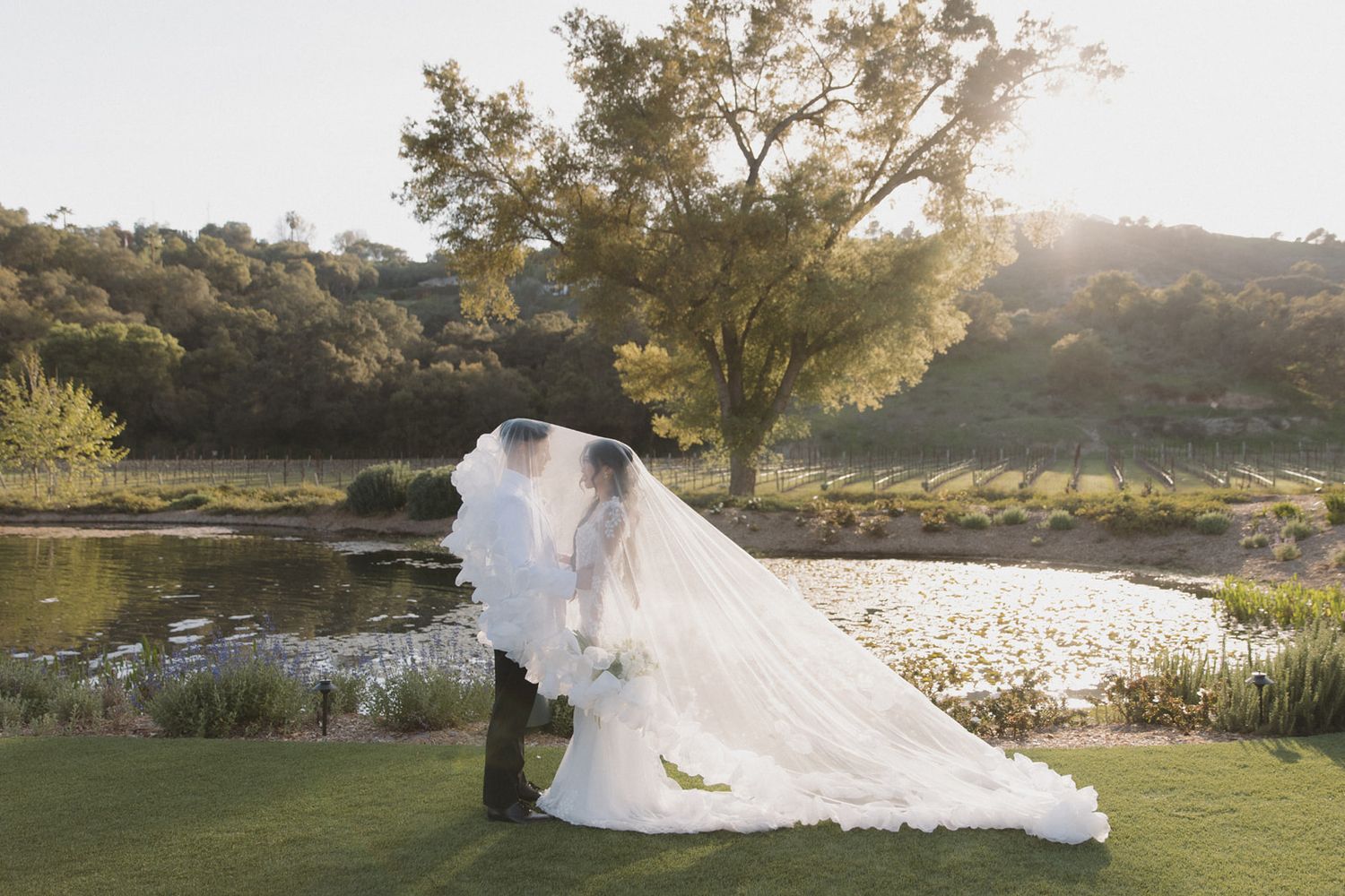 A wedding couple shares a romantic moment in a sunlit garden setting with a flowing white veil in the breeze.