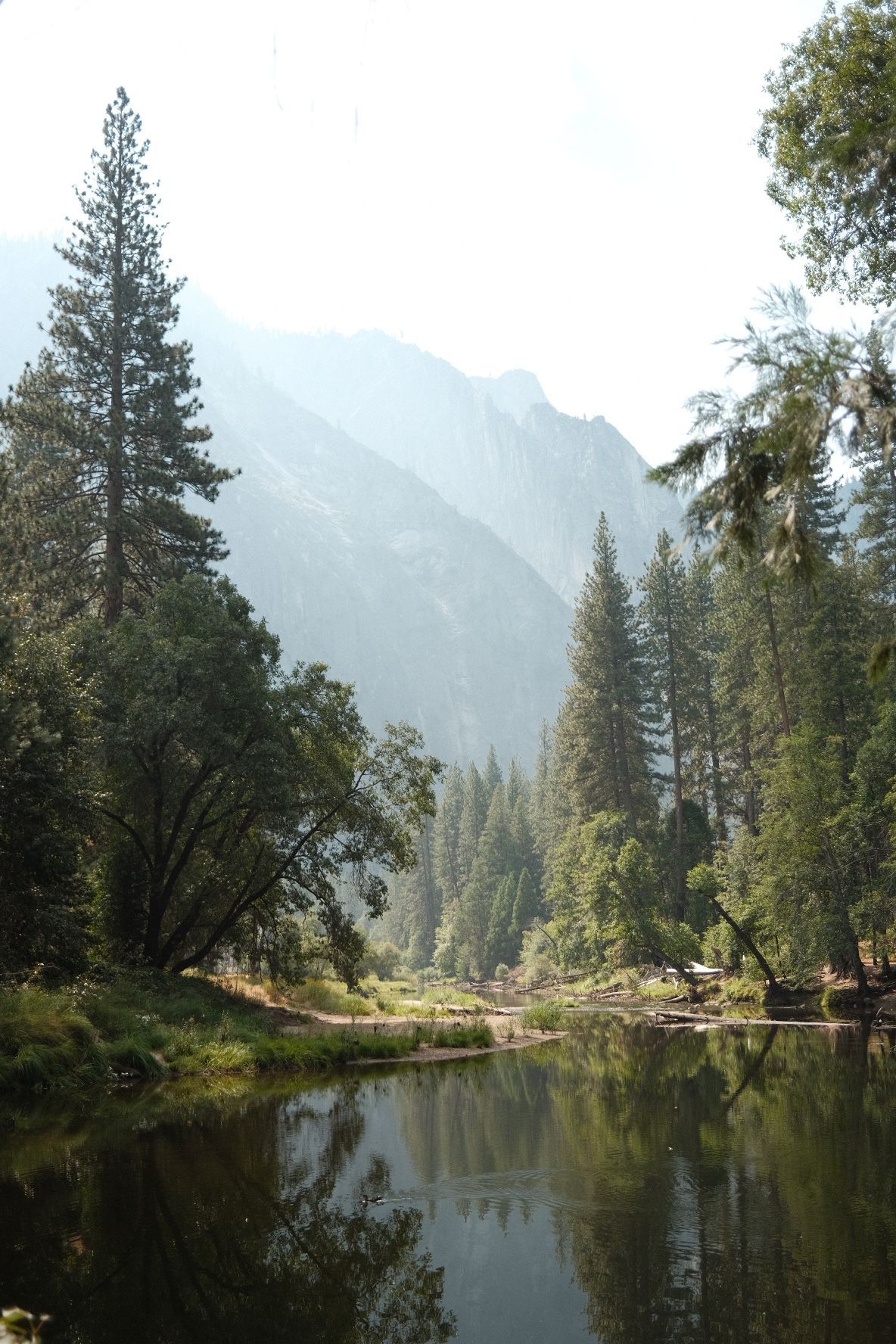 romantic and authentic yosemite national park elopement photographer