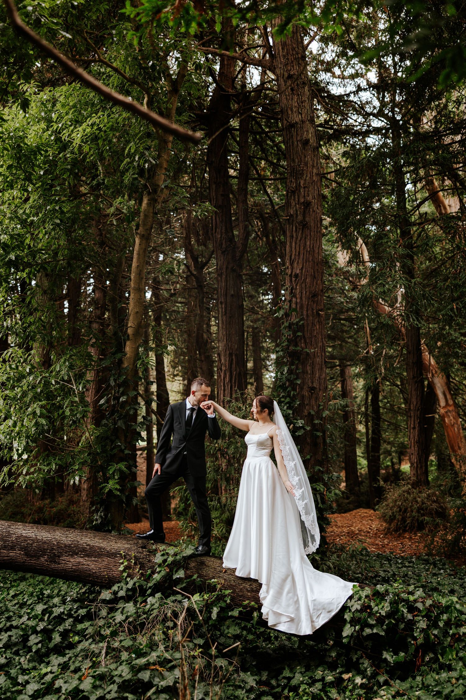 candid san francisco bay area redwood forest elopement