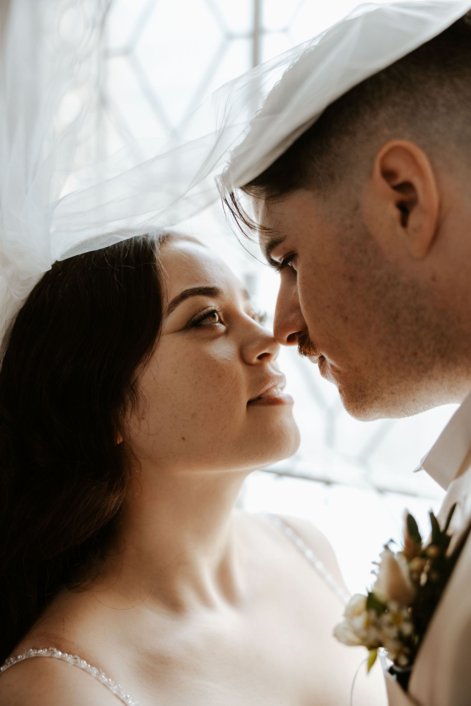 romantic san francisco elopement photographer