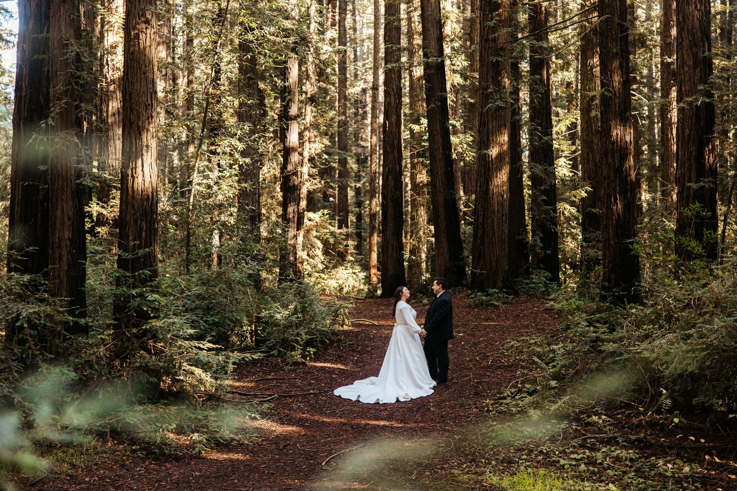 bride and groom standing in a forest surrounded by redwood trees in oakland on their san francisco elopement day