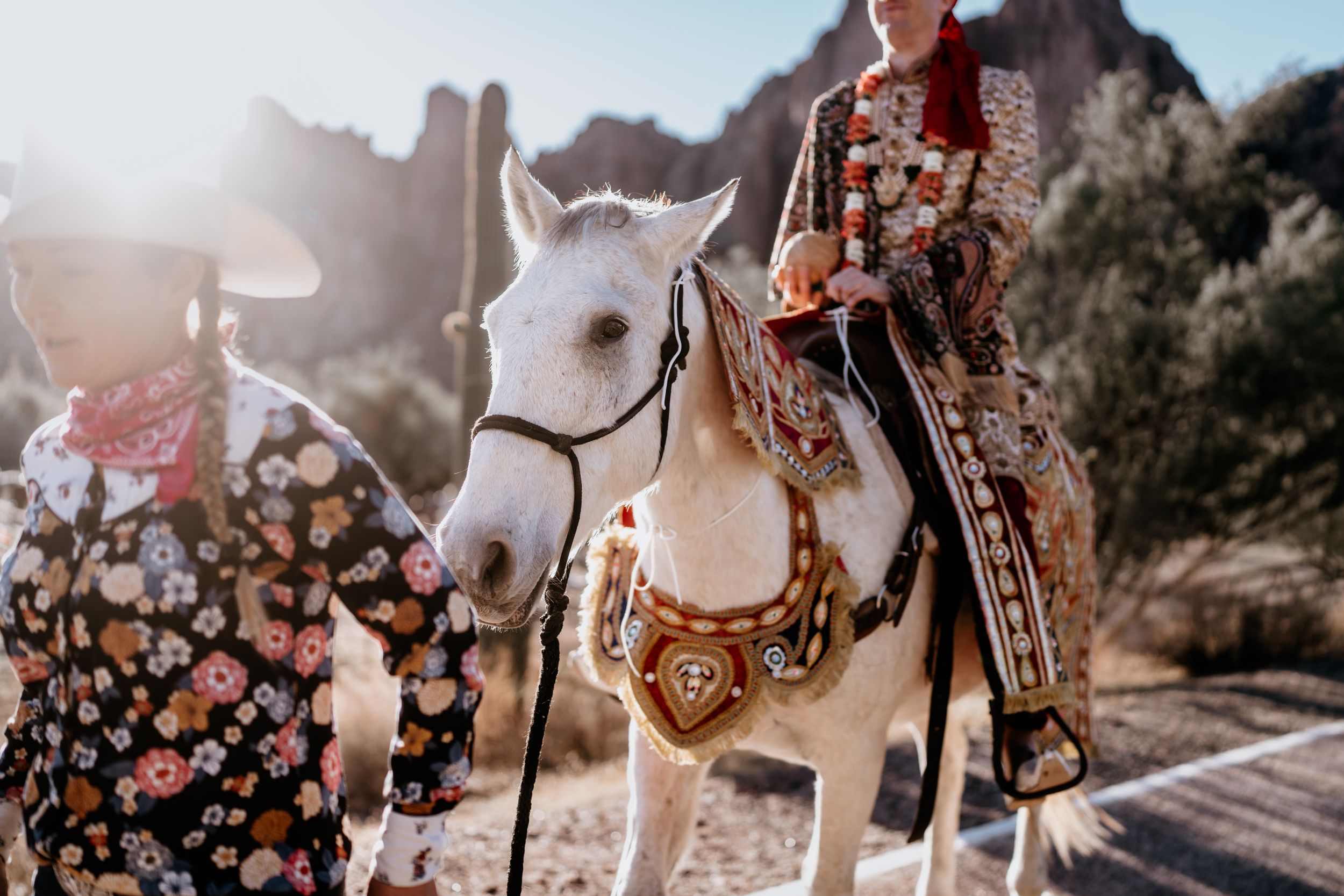 Hindu wedding couple portrait